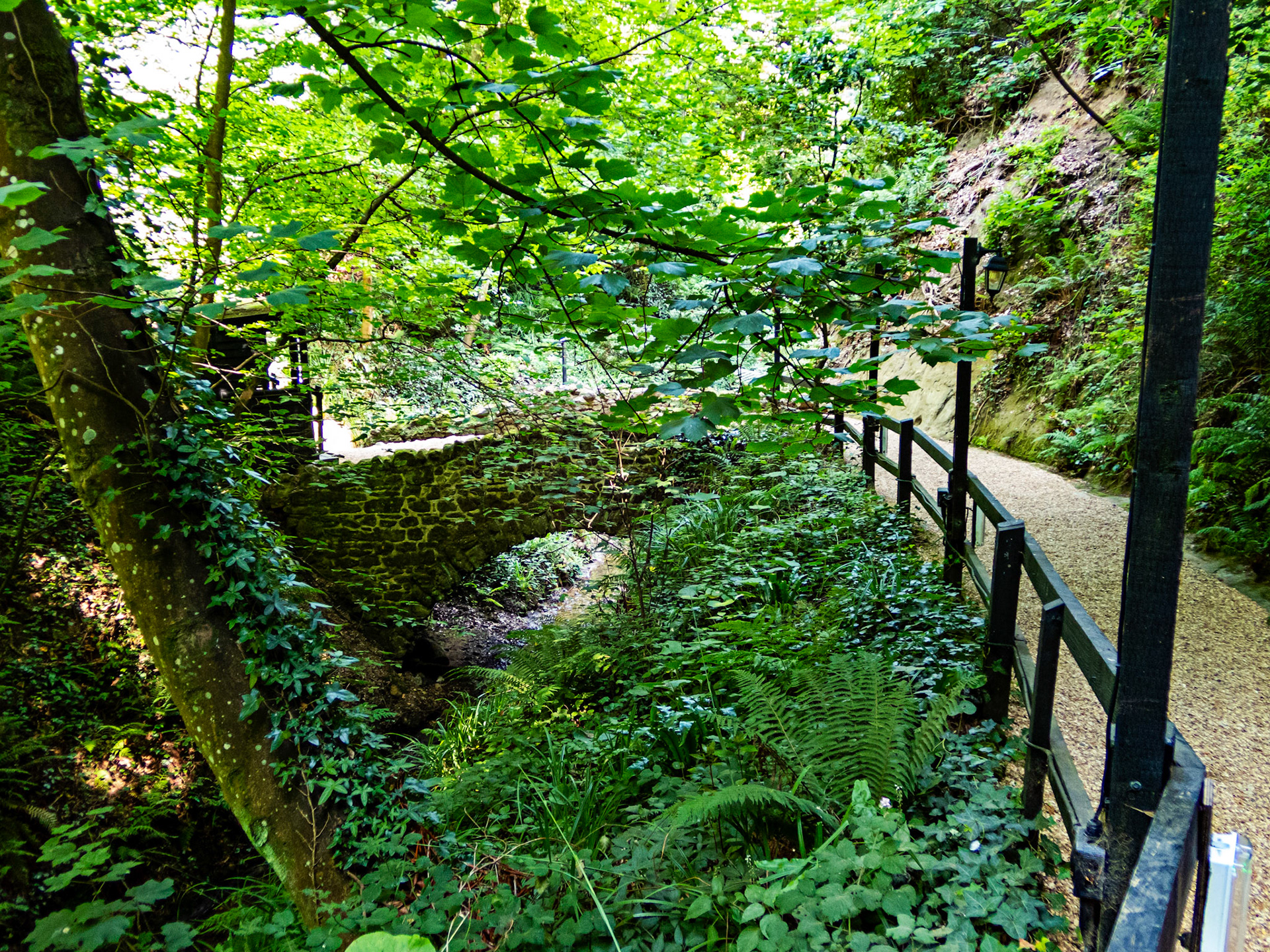 Shanklin IOW 18  July 2022