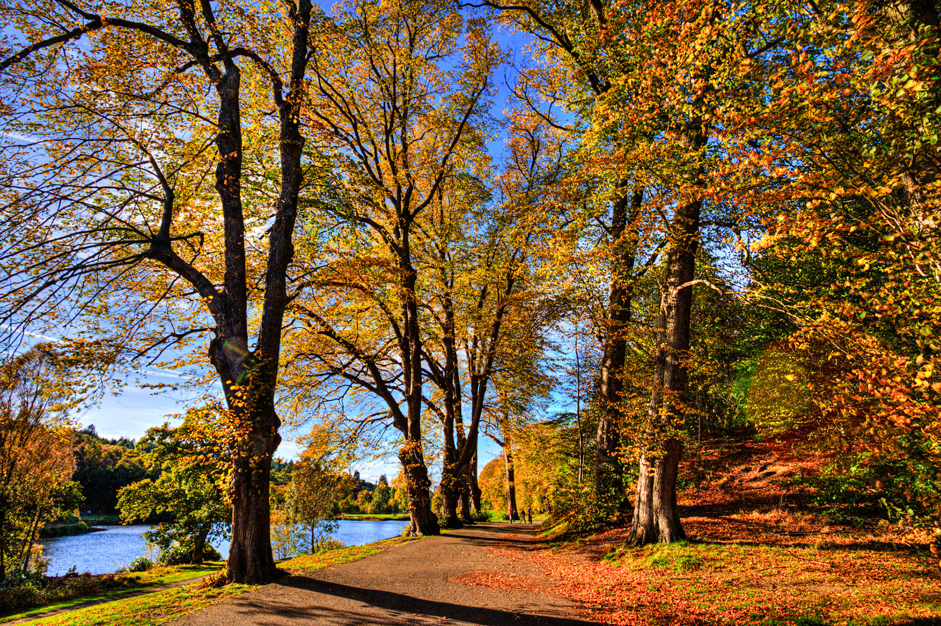 Callendar Park, Falkirk 11 October 2025