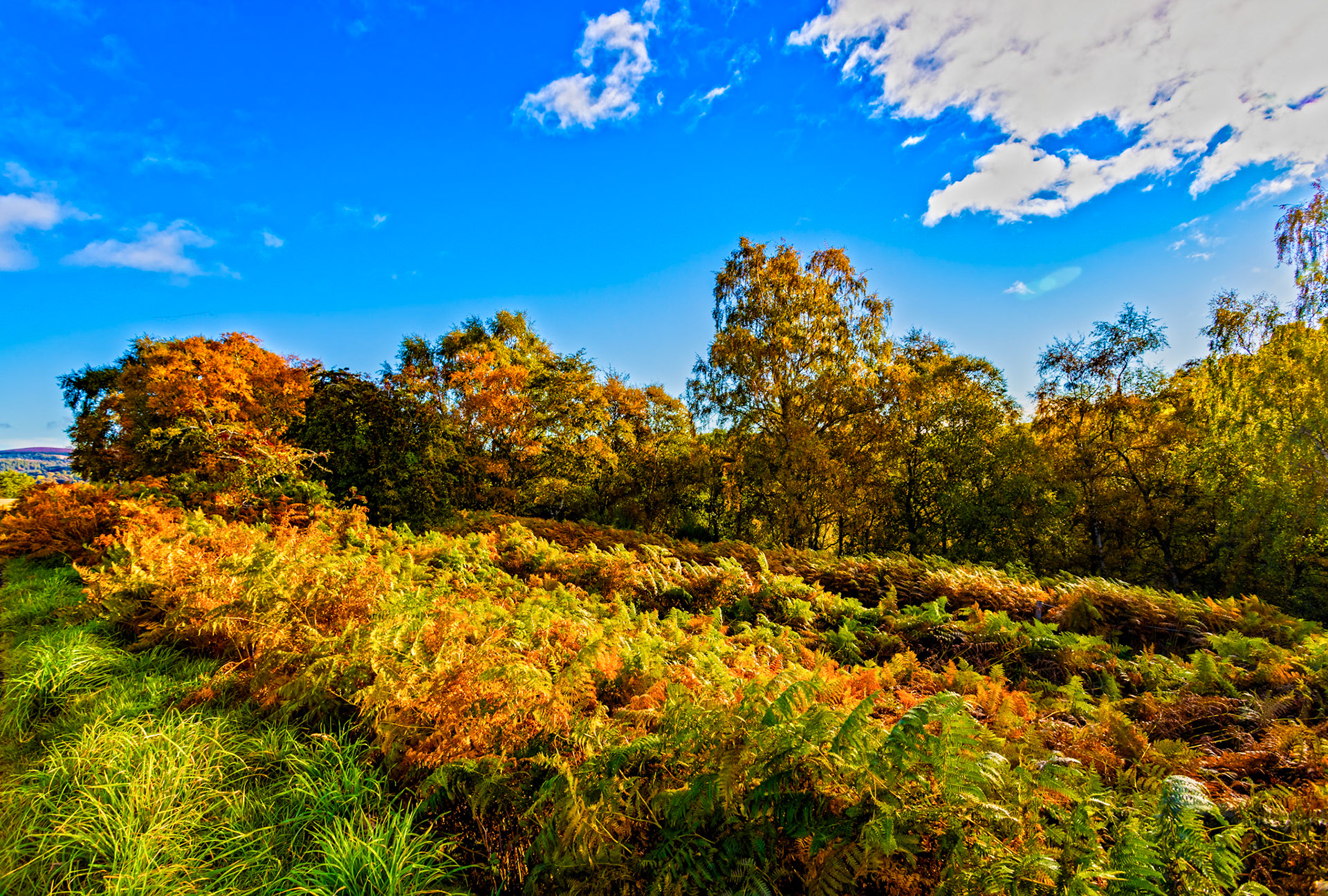 Autumn in Aberdeenshire 14 to 16 October 2022