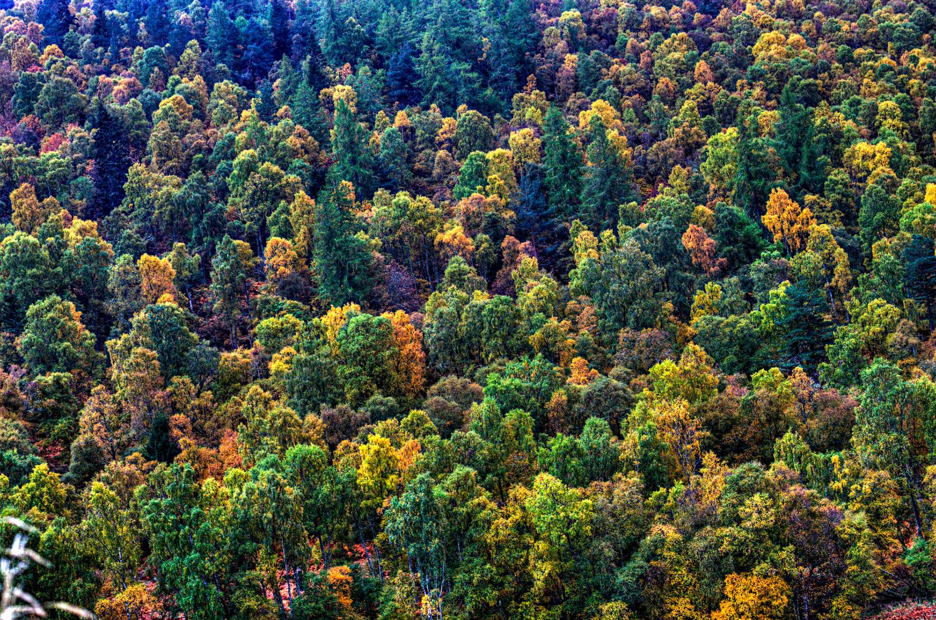Autumn in Aberdeenshire 14 to 16 October 2022
