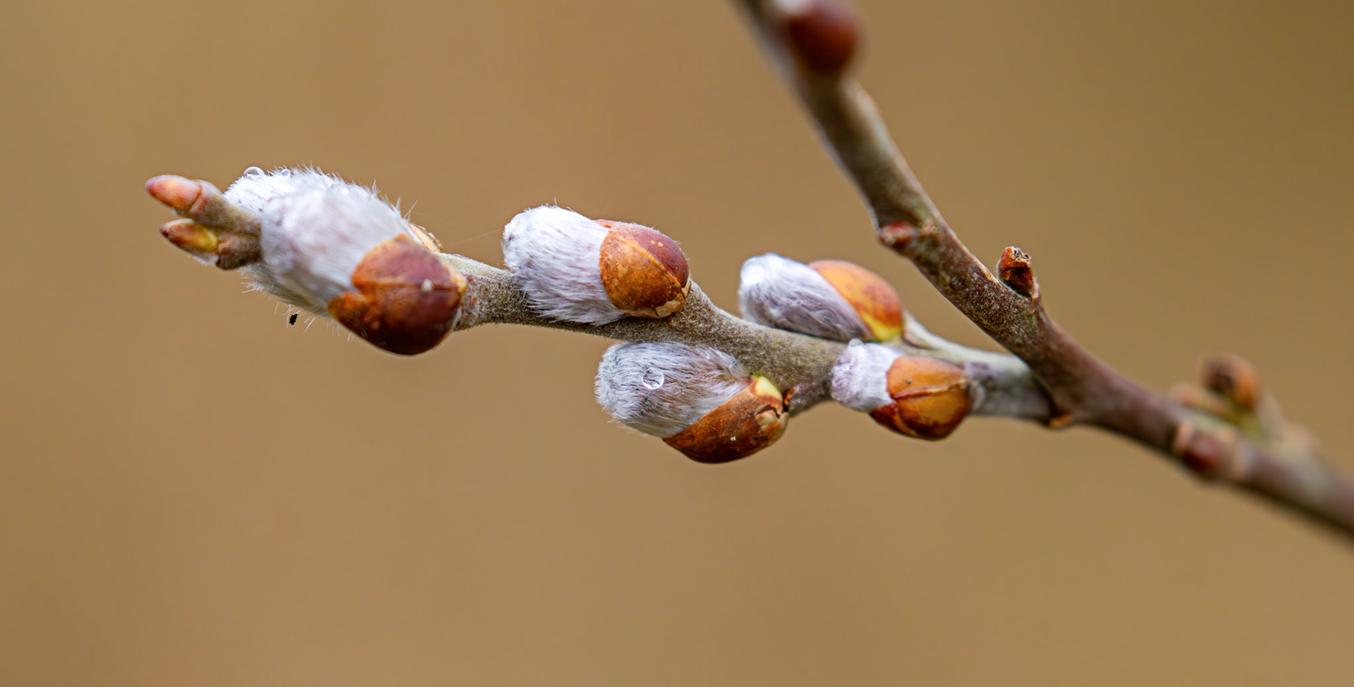Fintry 28 February 2026