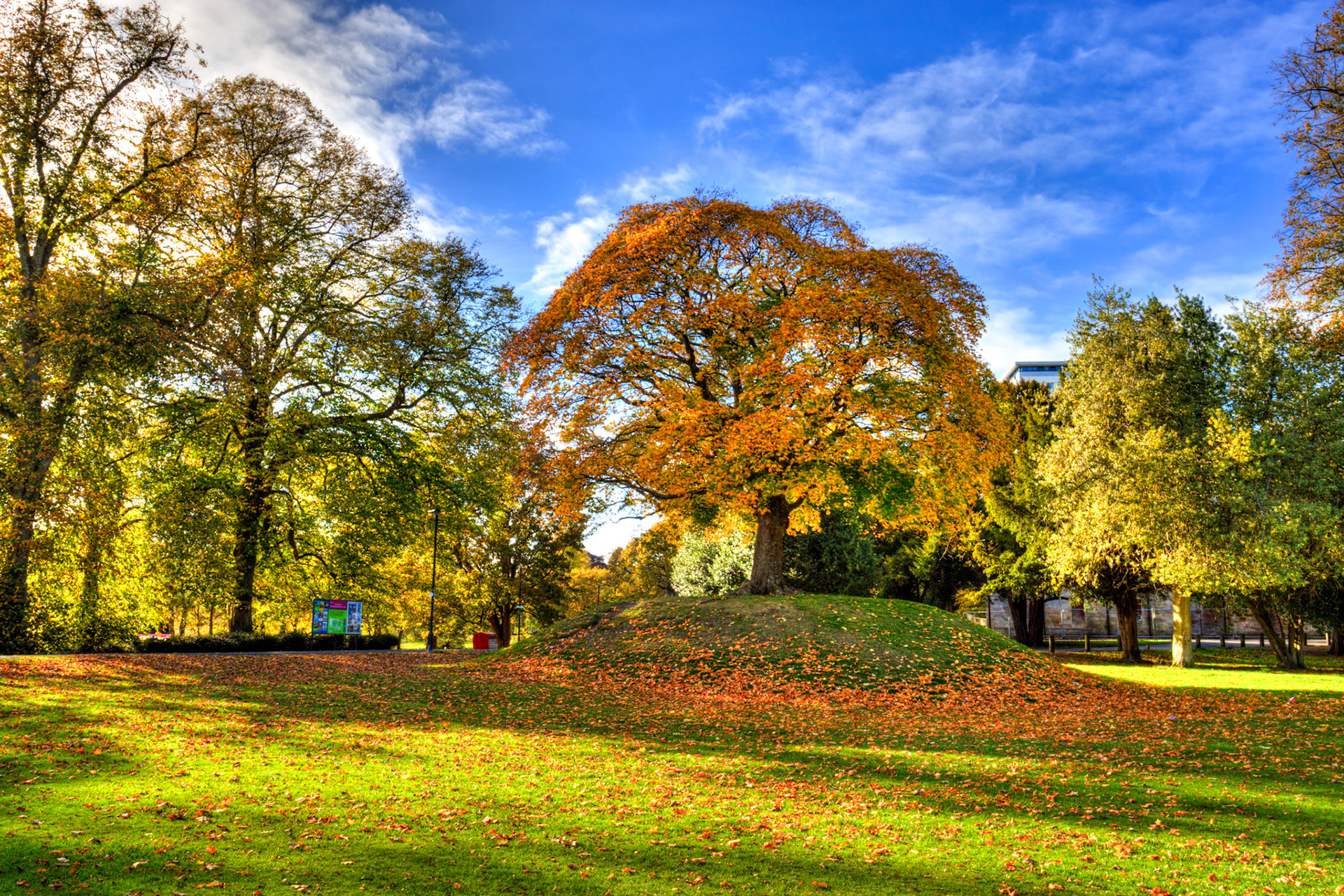 Callendar Park, Falkirk 11 October 2025