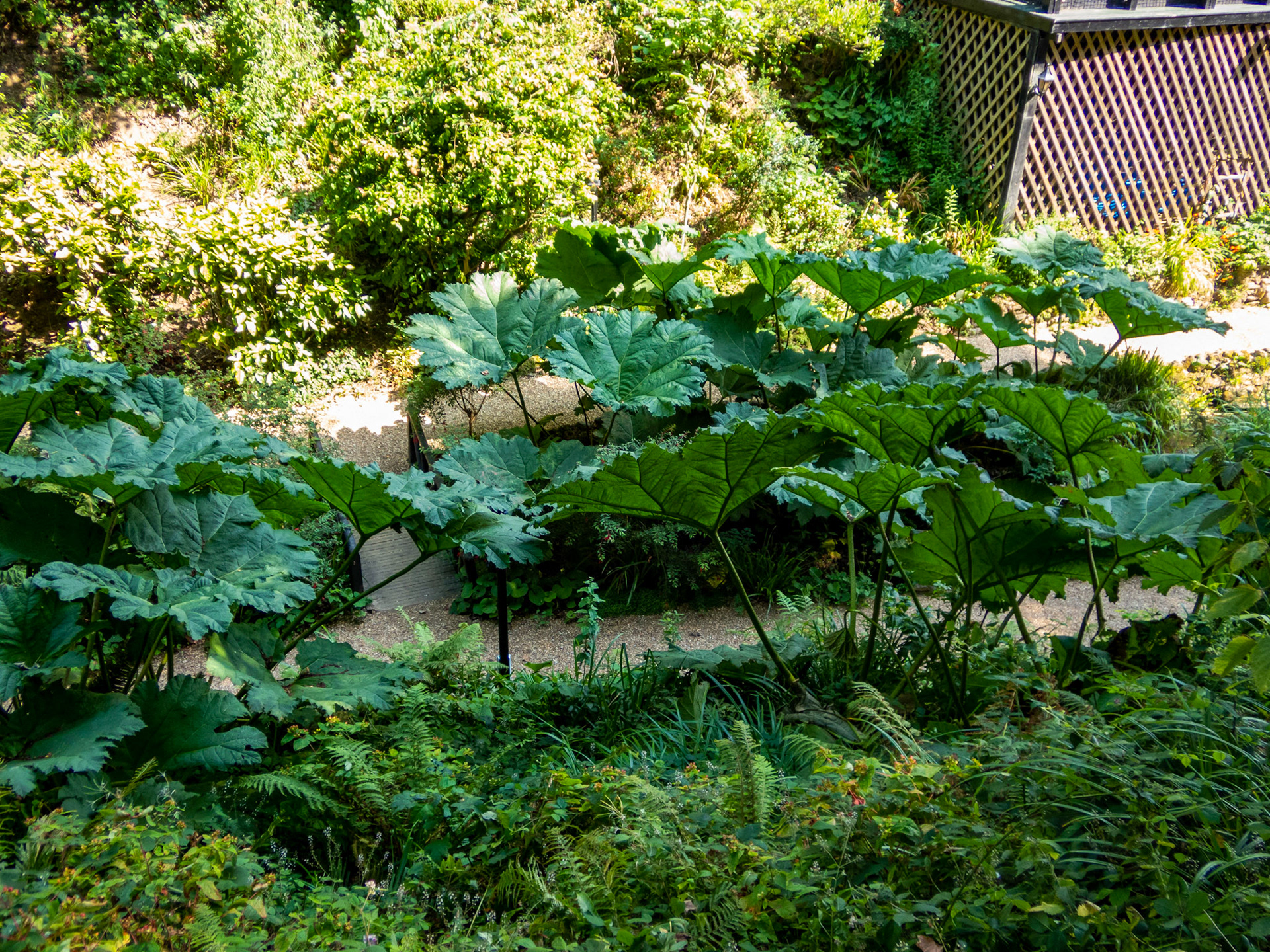 Shanklin IOW 18  July 2022