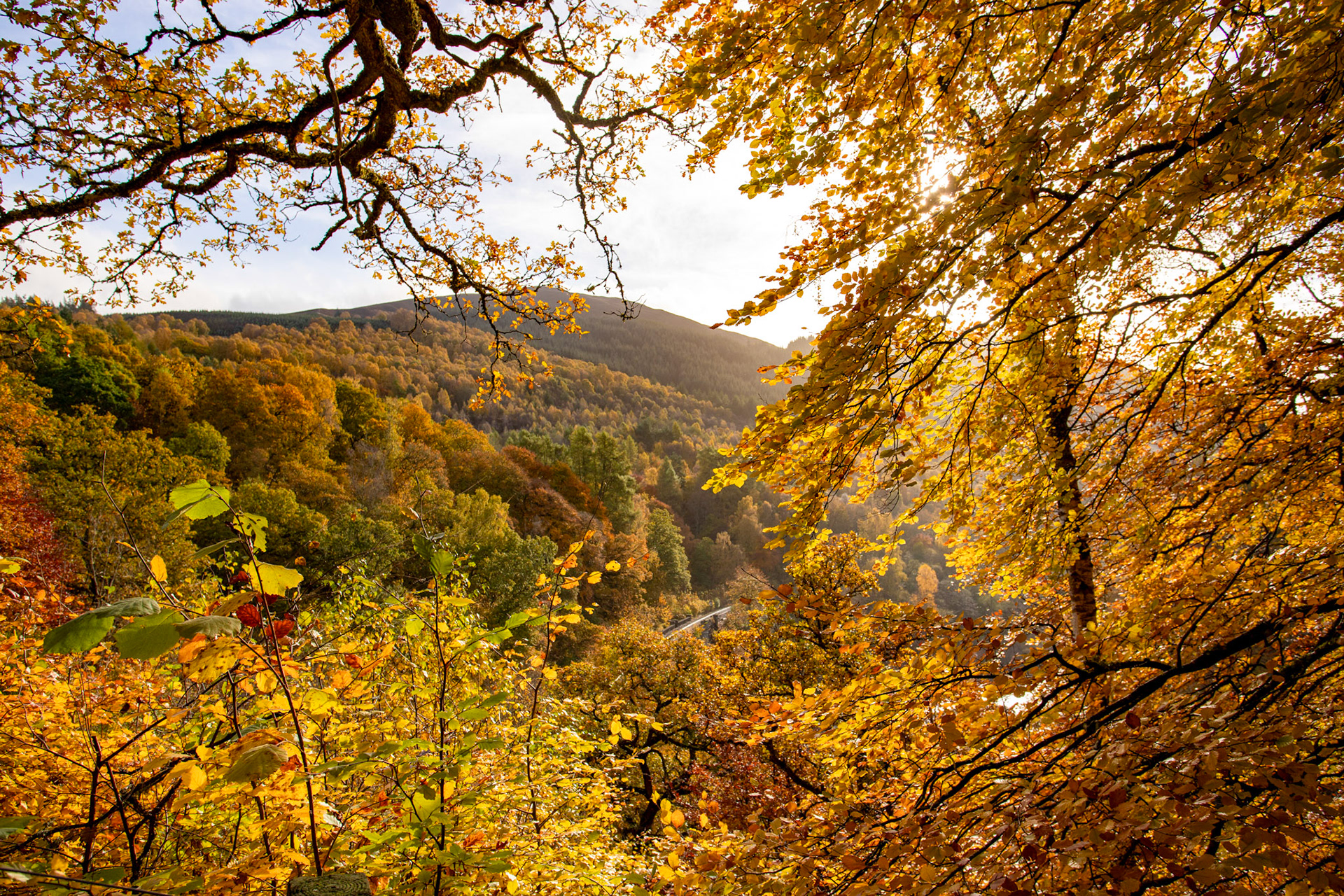 Killiecrankie. Autumnal Tour around Perthshire 19 October 2024