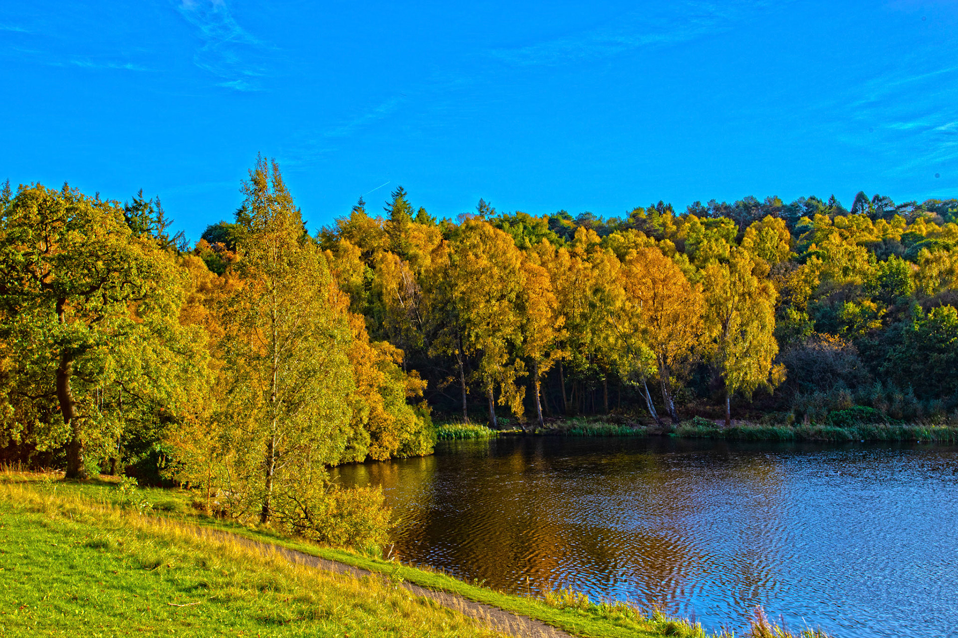 Callendar Park, Falkirk 11 October 2025