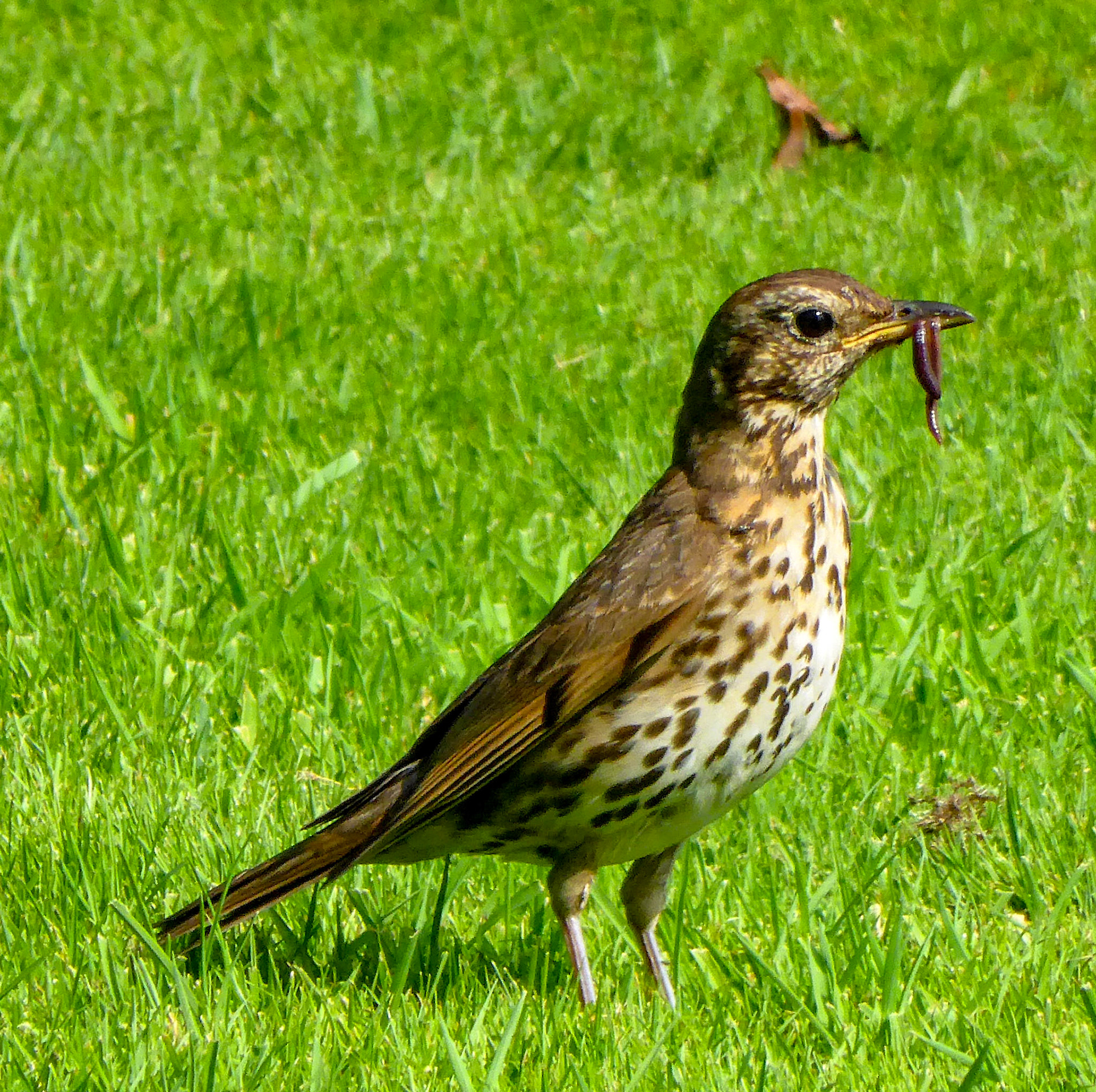 KeswickPlease see my other Photographs at: http://www.jamespdeans.co.uk/