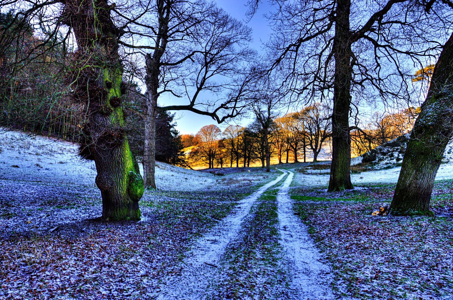 Walk at the Dalmeny Estate - 02 January 2020Please see my other photos at JamesPDeans.co.uk