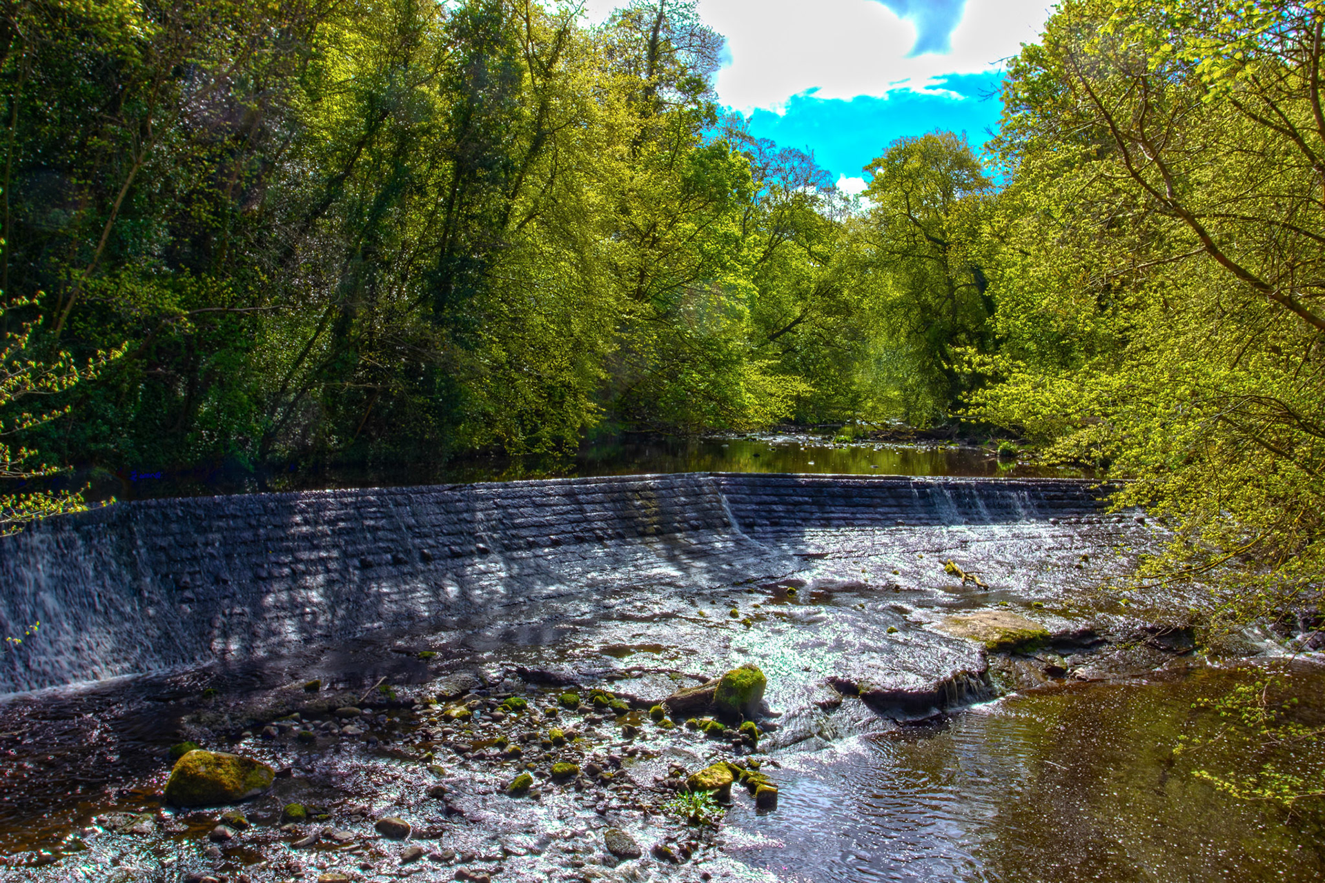 Colinton, Edinburgh 27 April 2026 - Weir on the Water of Leith