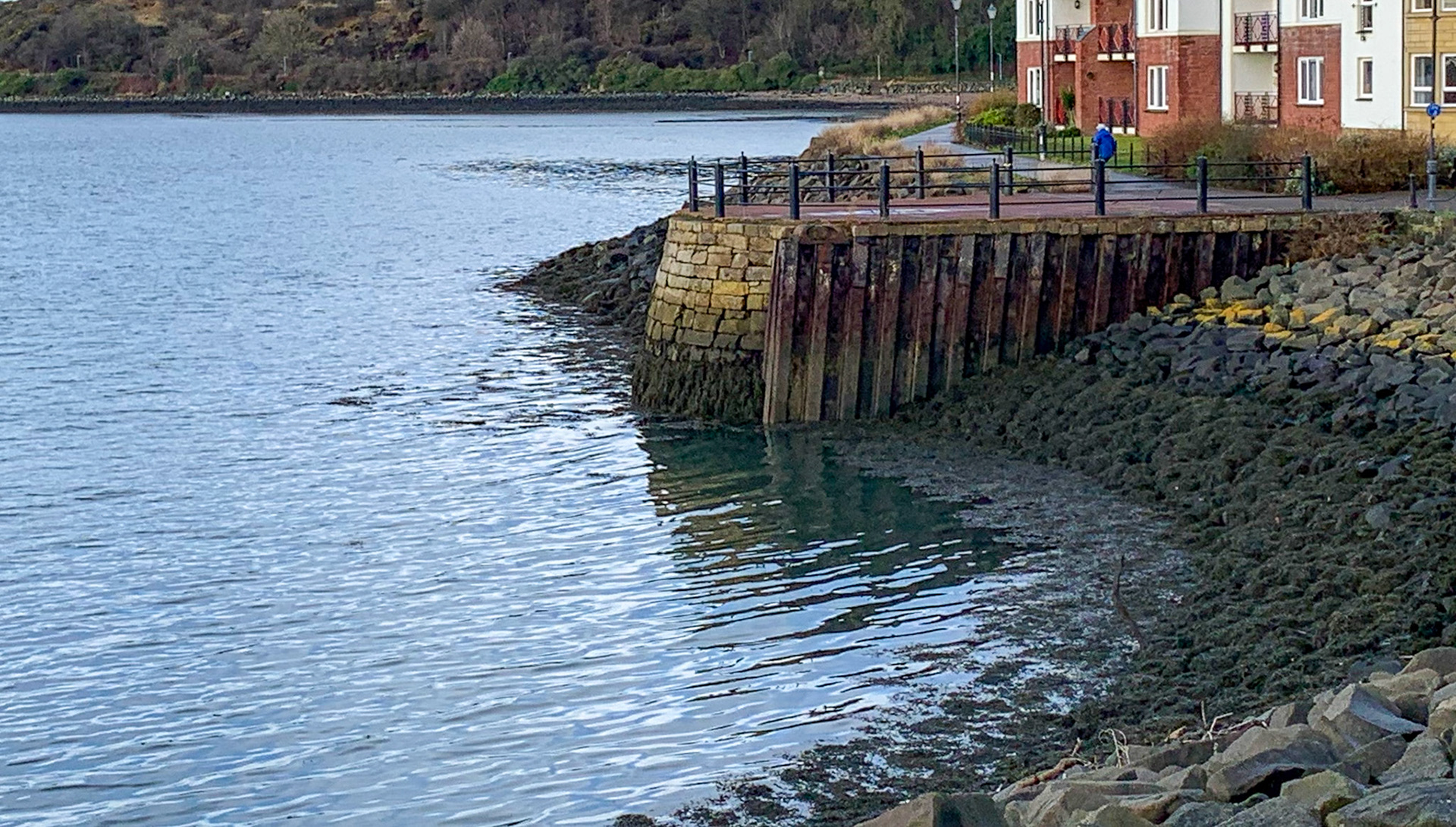 St David's Harbour 14 February 2022