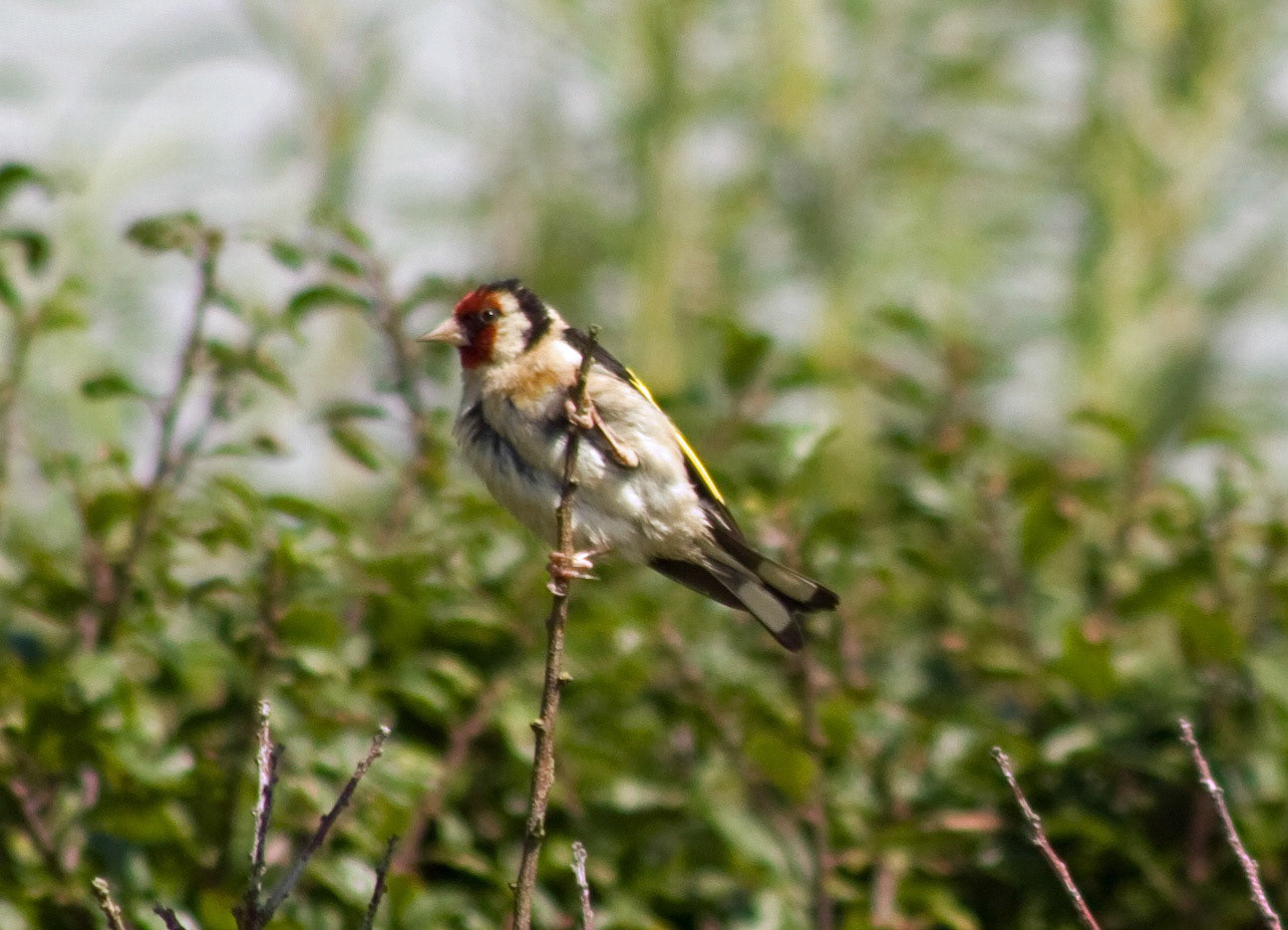 SalcombePlease see my other Photographs at: http://www.jamespdeans.co.uk/