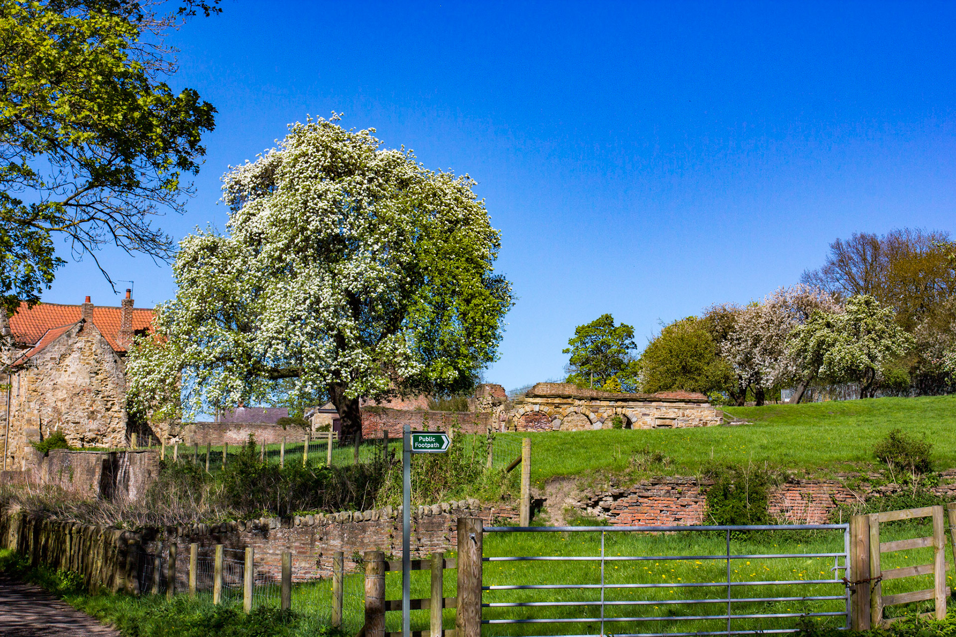 The Hospital of St Giles of Kepier, founded in 1180. This is next to the Grange farm (dating from 1400-1500s), which provided food to the Abbey in Durham, now Durham Cathedral.Please see my other Photographs at: www.jamespdeans.co.uk
