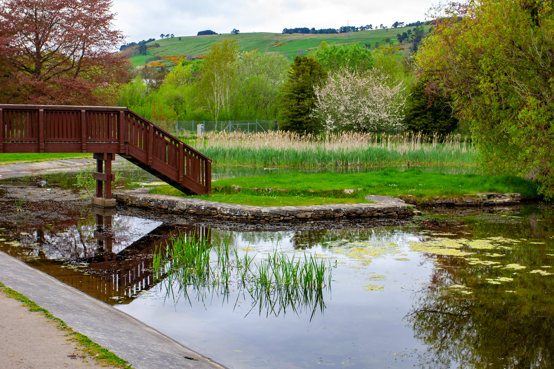 Dingwall - Peffery Canal &amp; Harbour 06 May 2024