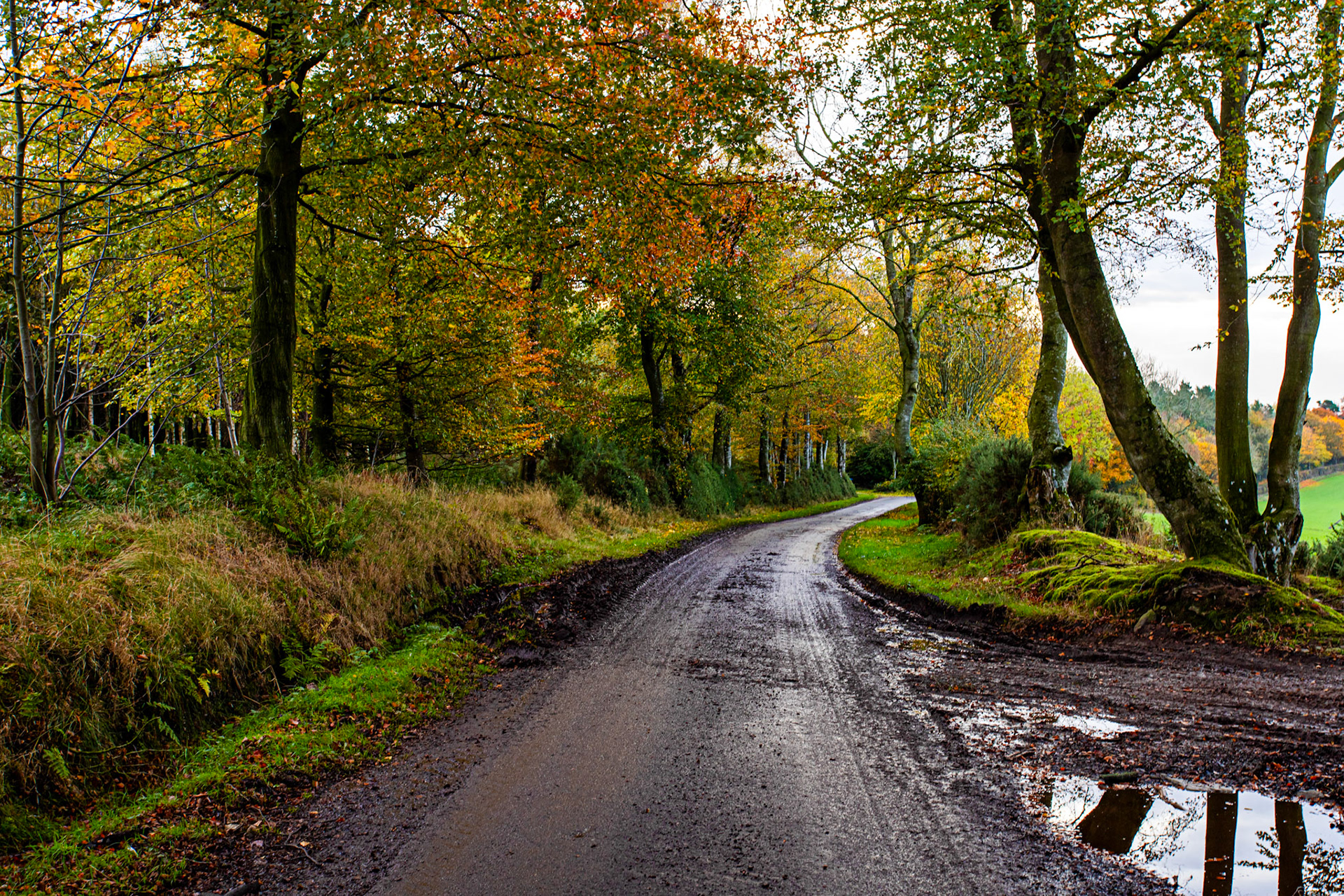 Morriston Borders 27 Oct 2022