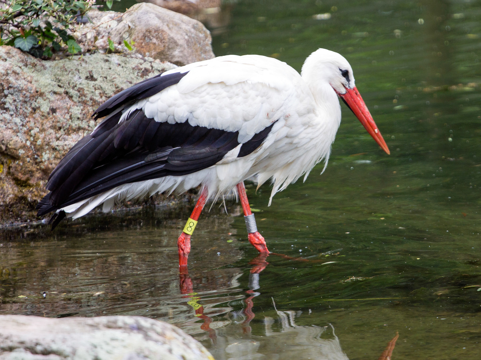 CernayPlease see my other Photographs at: http://www.jamespdeans.co.uk/