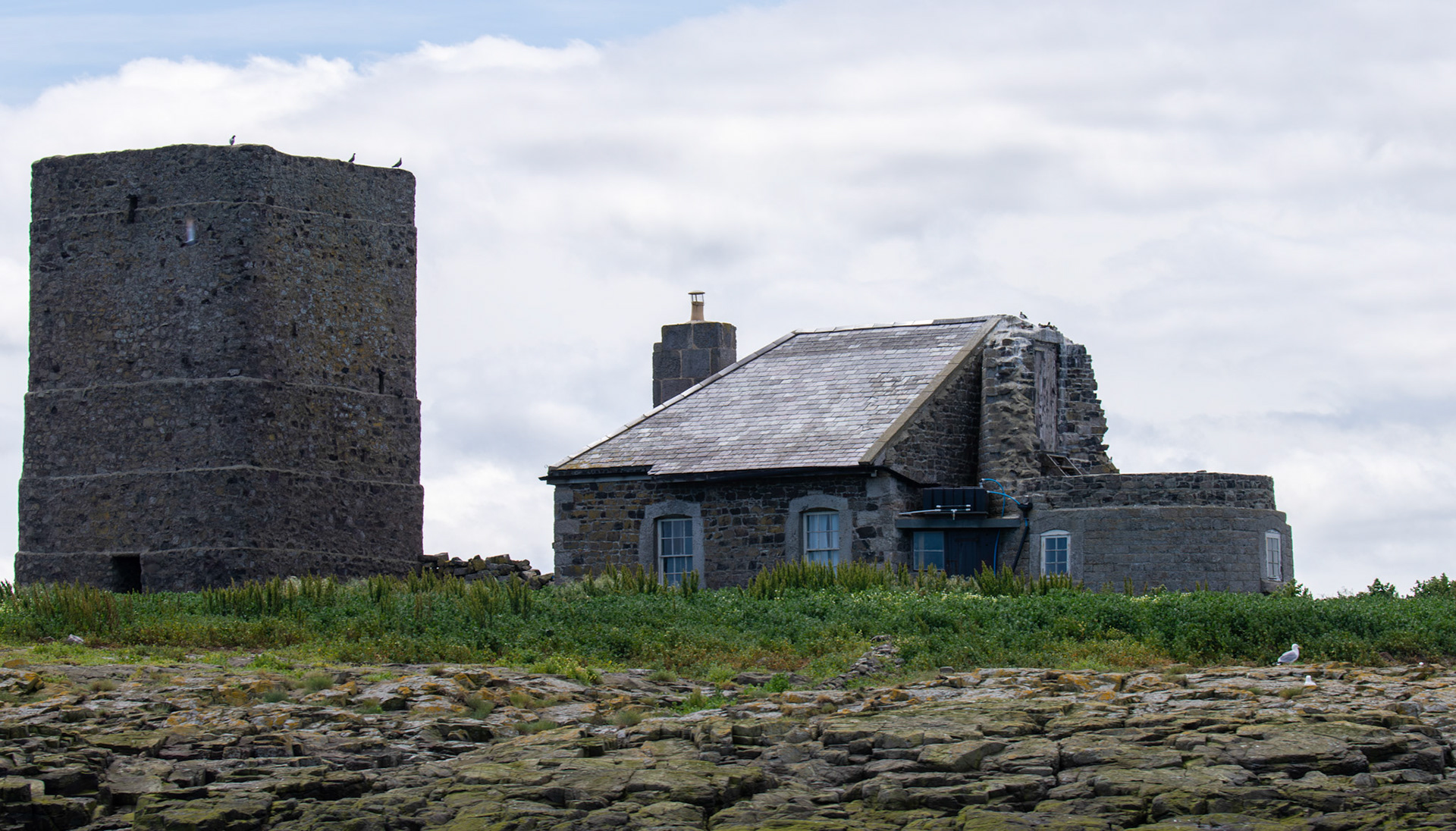 Old lighthouse and cottage on Brownsman Island - Farne Islands 03 July 2026