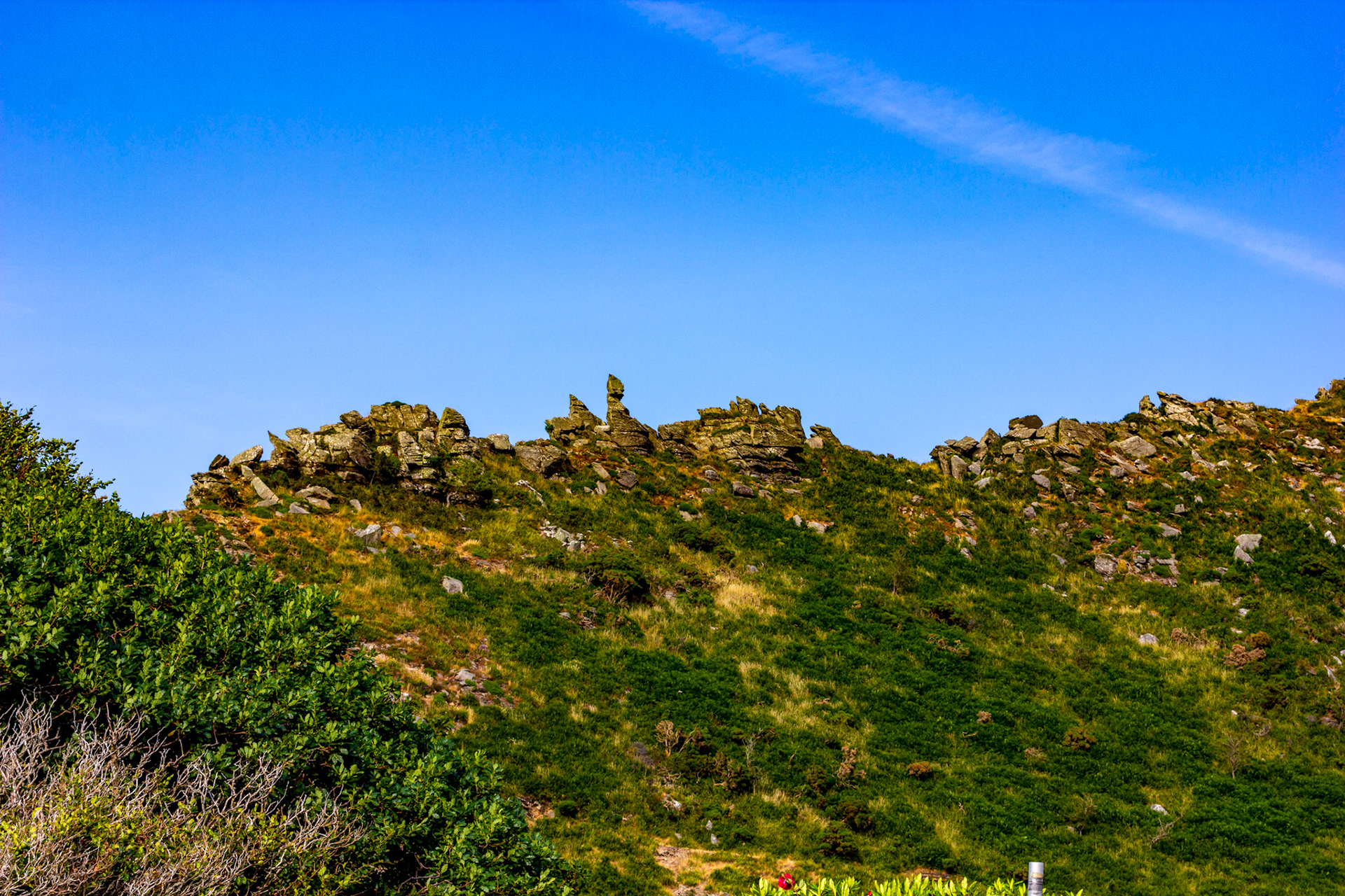 Valley of the Rocks, Lynton 26 June 2023