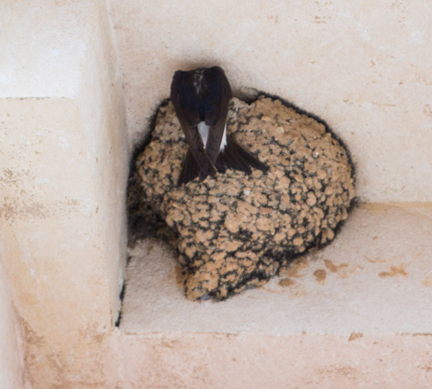 AlcudiaPlease see my other Photographs at: www.jamespdeans.co.uk