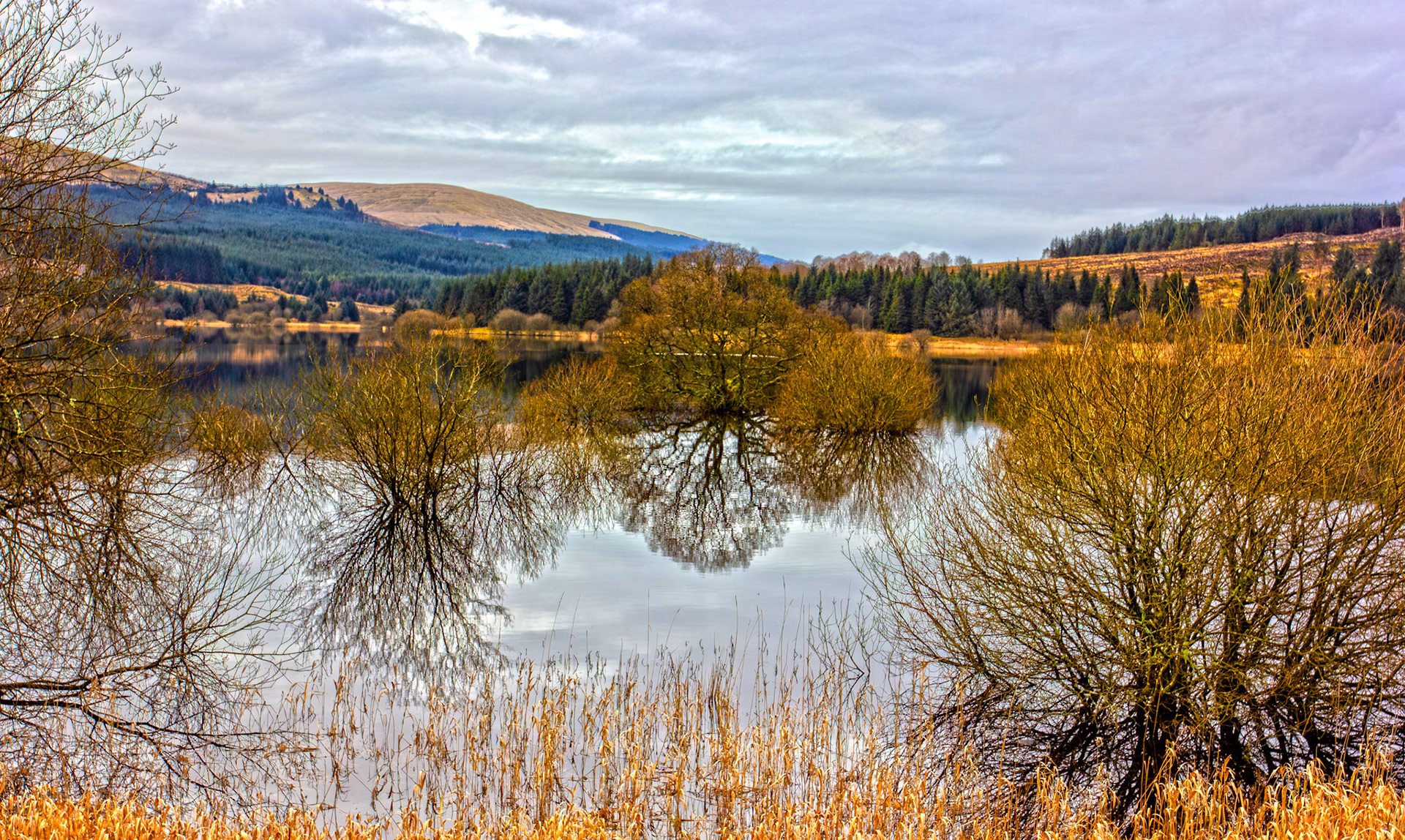 Carron Valley Reservoir 28 February 2026