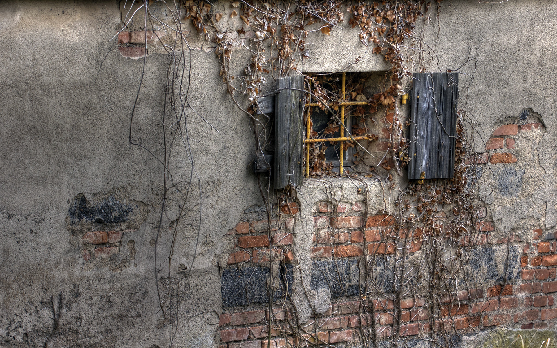 CernayPlease see my other Photographs at: http://www.jamespdeans.co.uk/