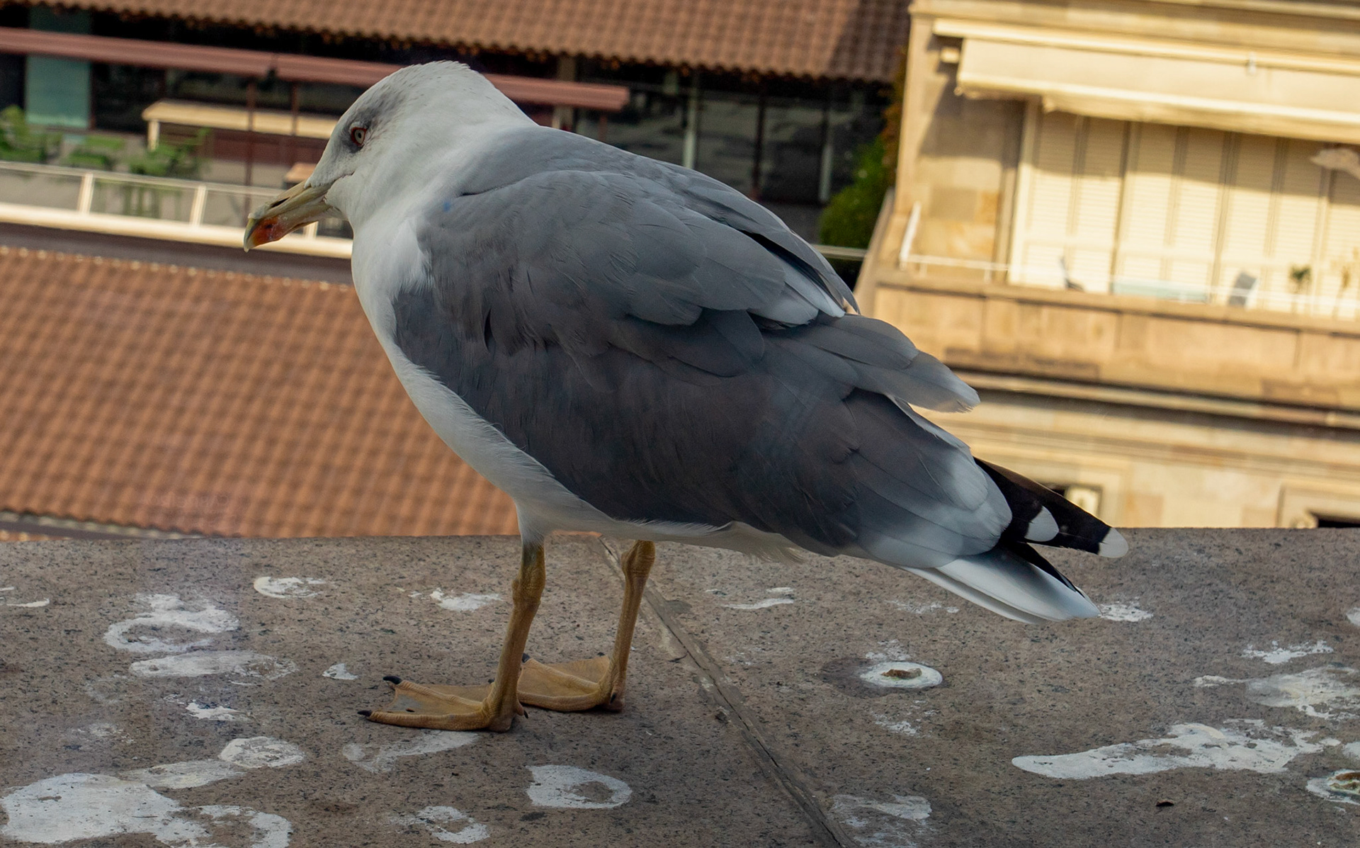 Barcelona 12 Sep 2025