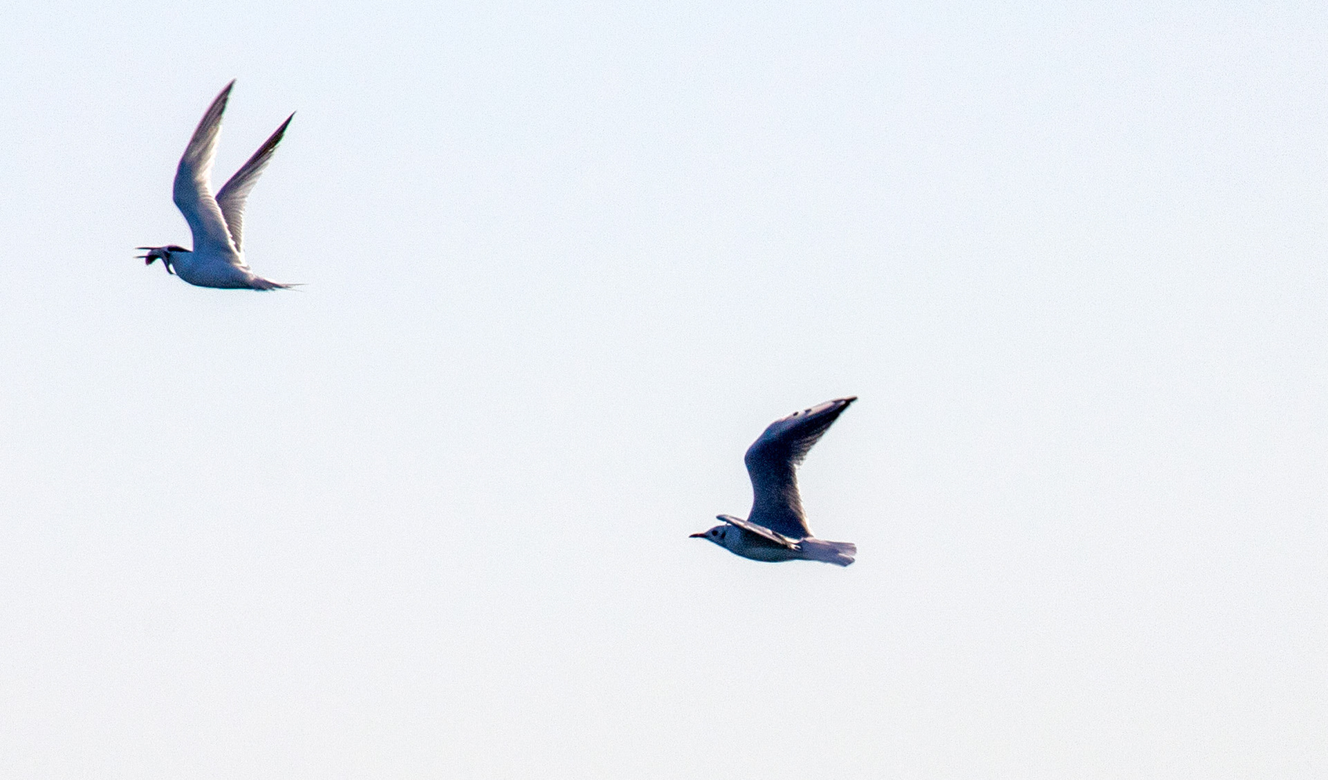 Sea next to Mussellburgh Lagoons 25 Sept 2024