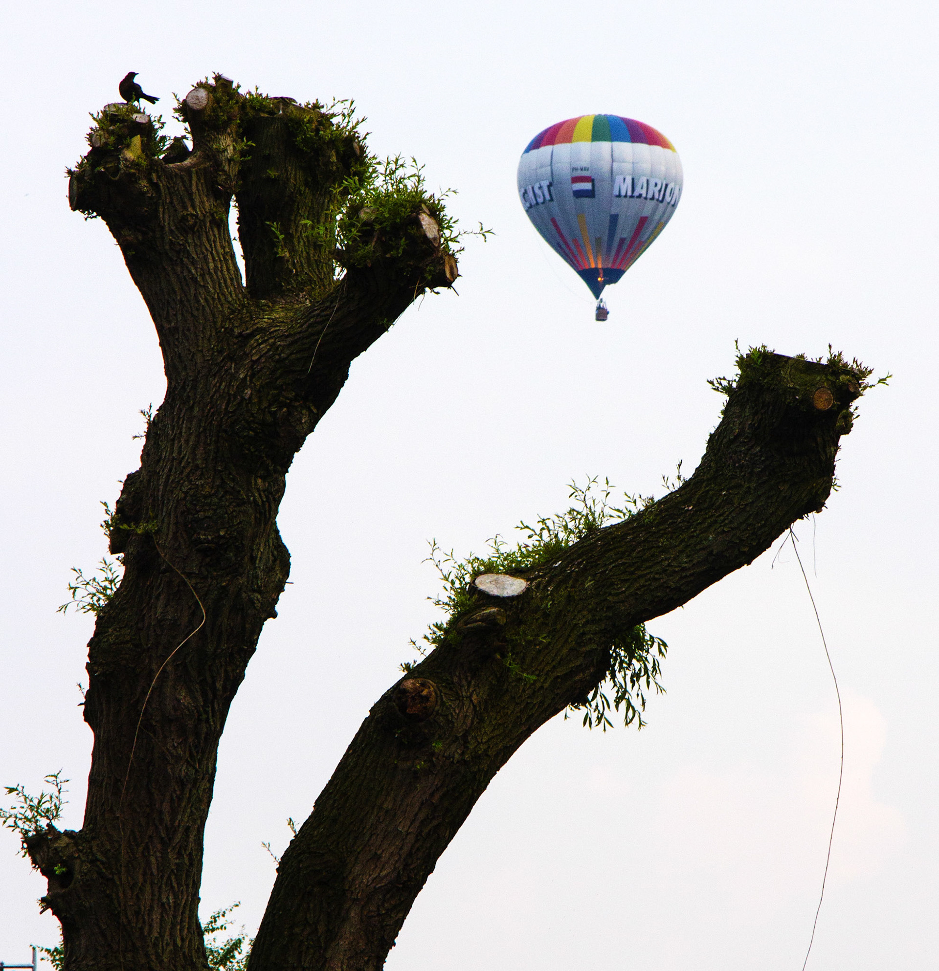 AmersfoortPlease see my other Photographs at: http://www.jamespdeans.co.uk/