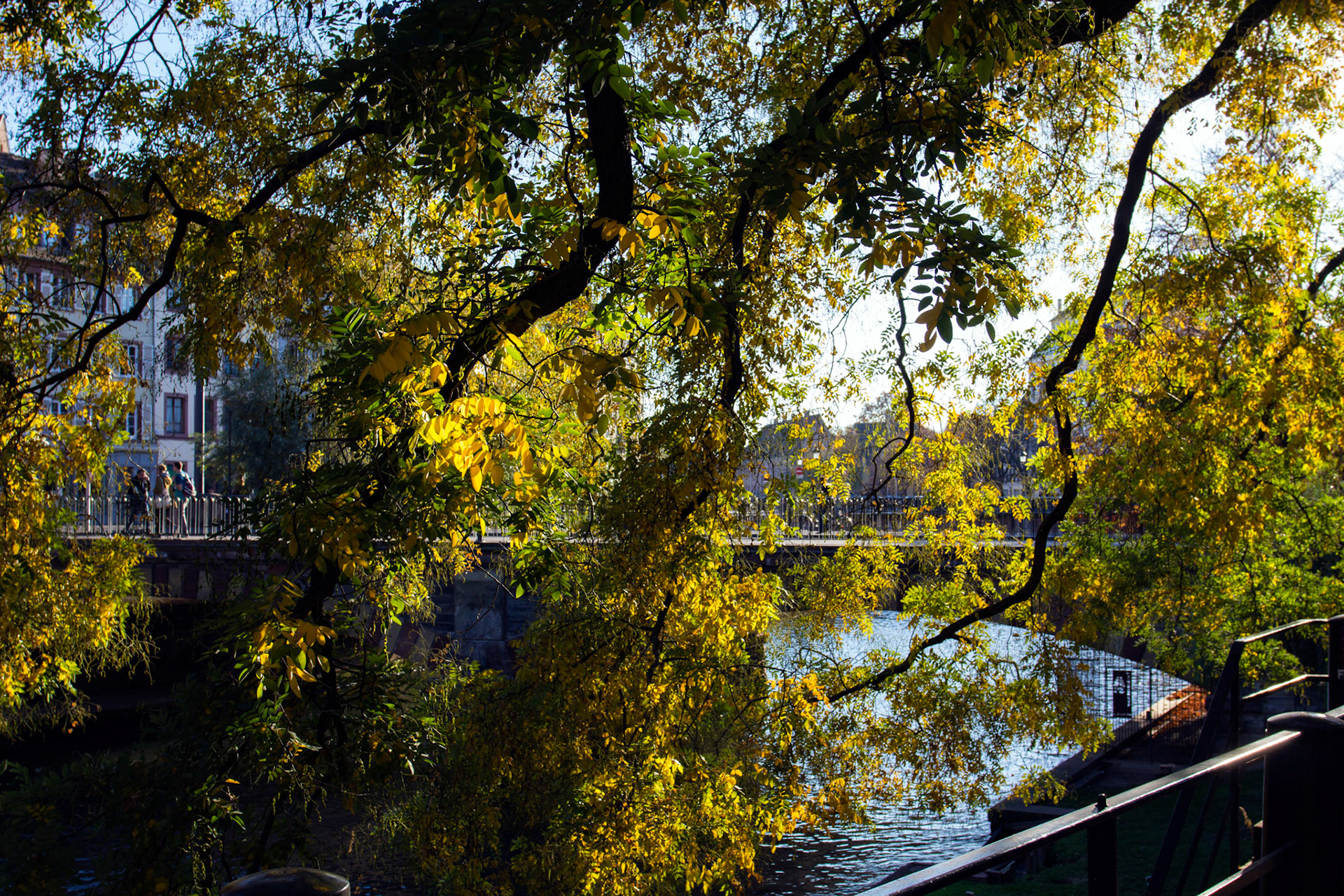 StrasbourgPlease see my other Photographs at: http://www.jamespdeans.co.uk/