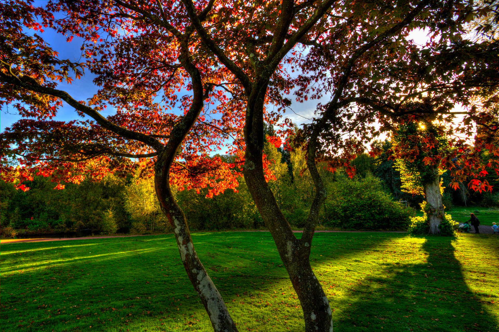 Callendar Park, Falkirk 11 October 2025