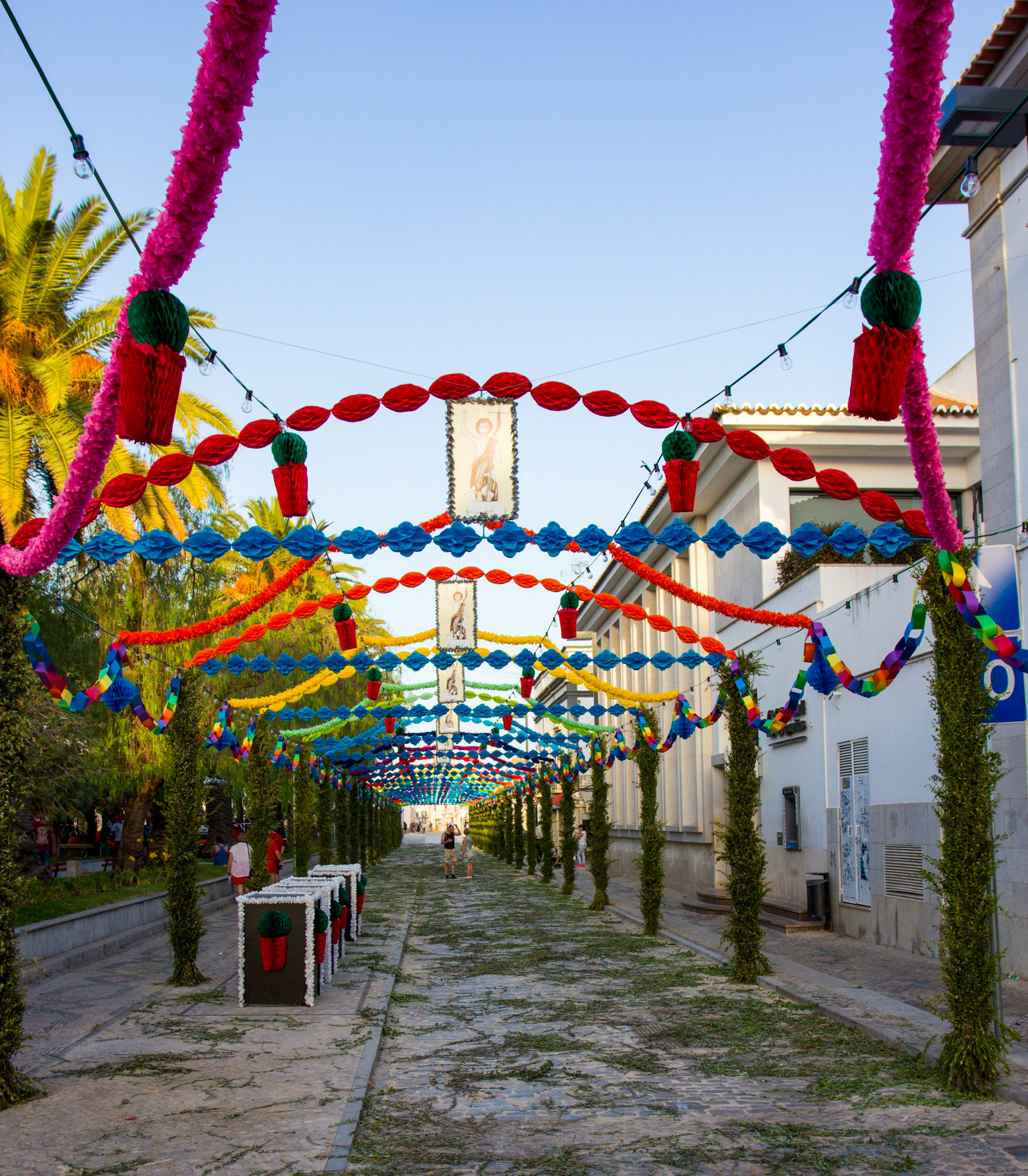 The street is all prepared for the Arraiais dos Santos Populares (or in English The Celebration of the Popular Saints). I don't know if they ever celebrate the unpopular saints! The roadway is strewn with fresh herbs, mainly basil I think.Please see my Photographs of Portugal at: http://www.jamespdeans.co.uk/p116503744