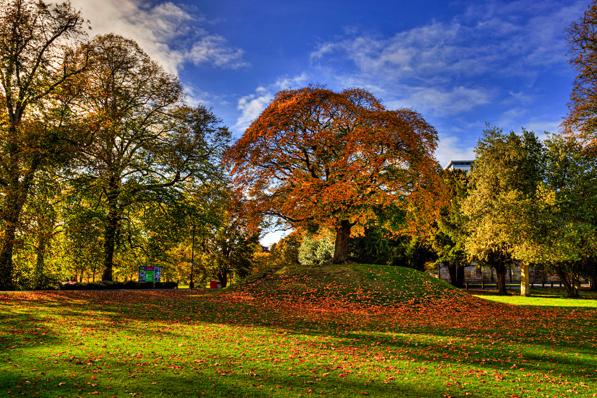 Callendar Park, Falkirk 11 October 2025