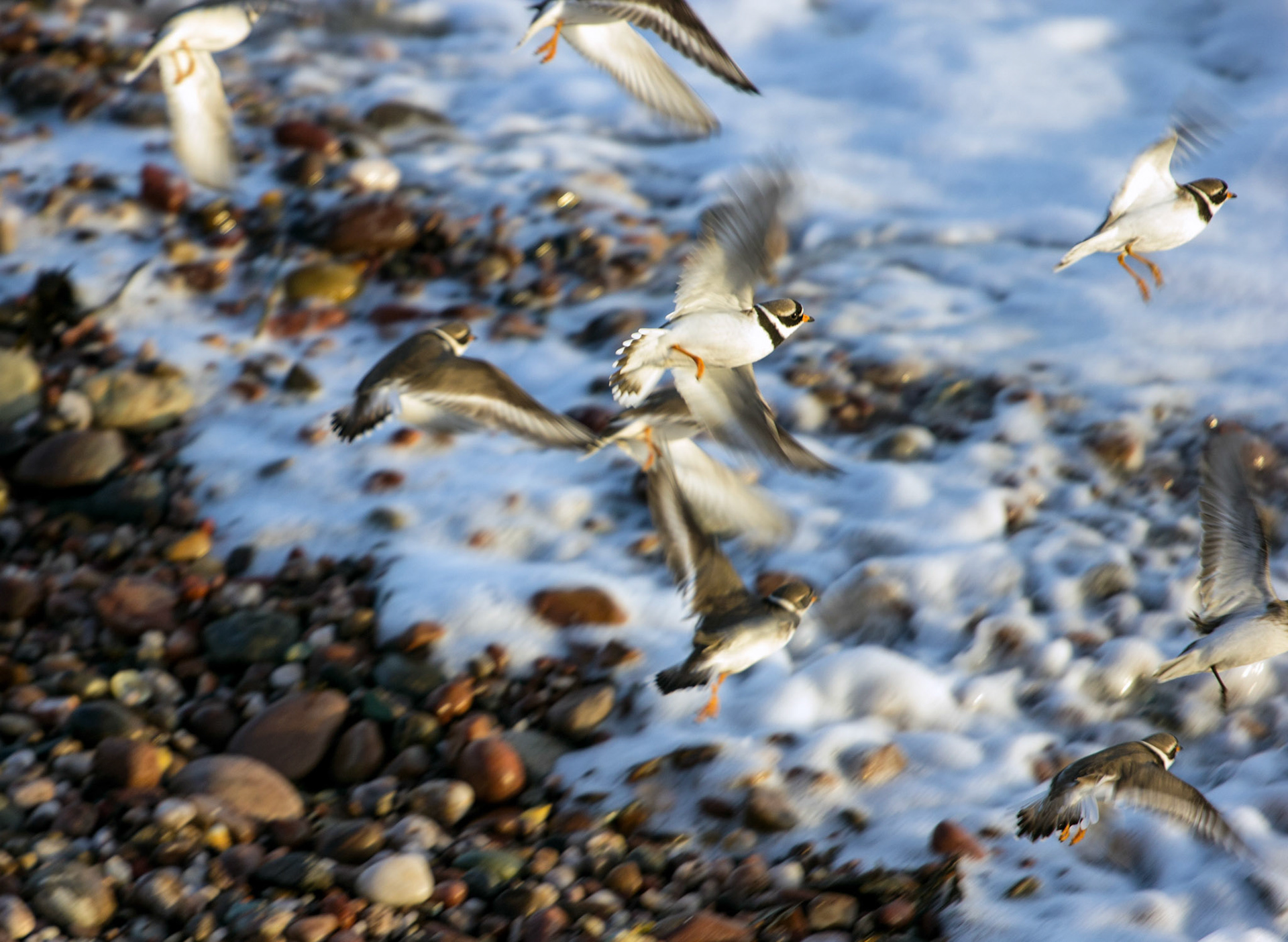 ArbroathPlease see my other Photographs at: http://www.jamespdeans.co.uk/