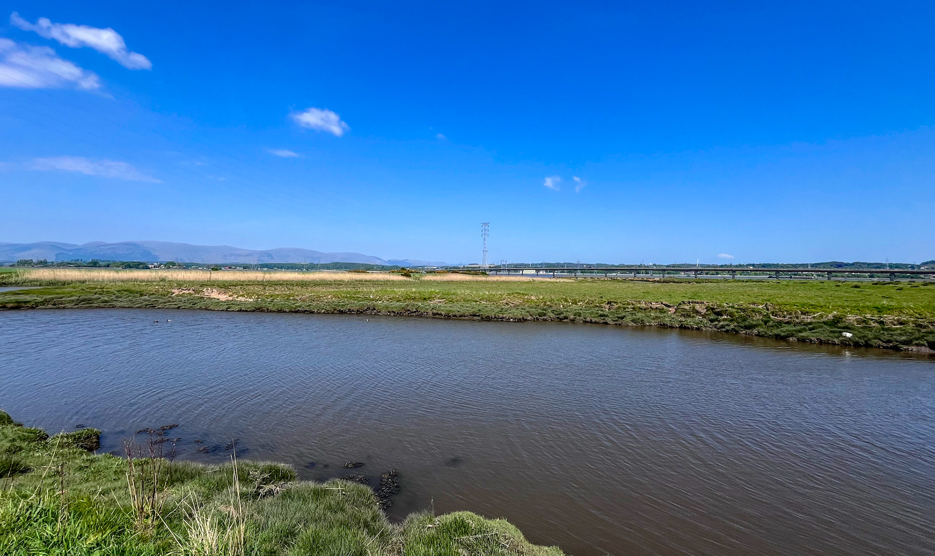 Higgins Neuk 12 May 2025