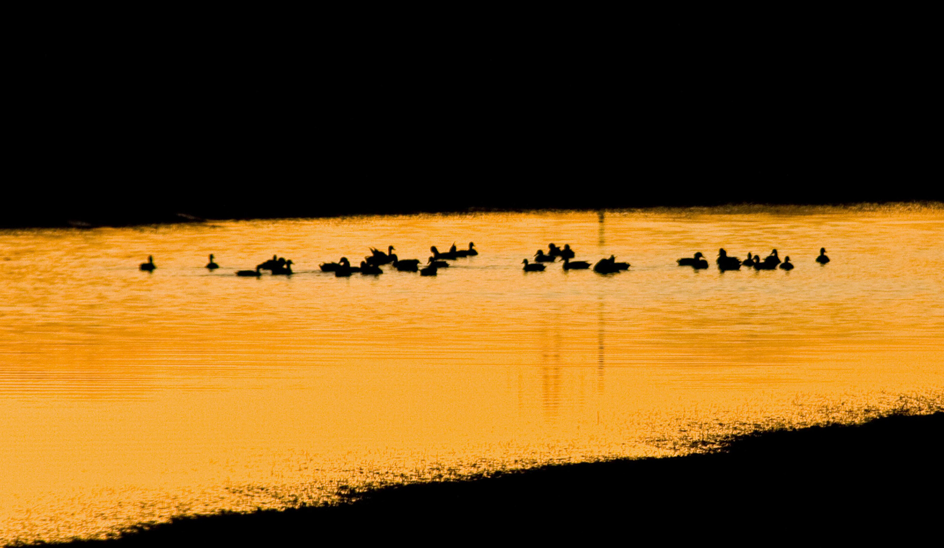 Sunset at East Calder Please see my other Photographs at: http://www.jamespdeans.co.uk/