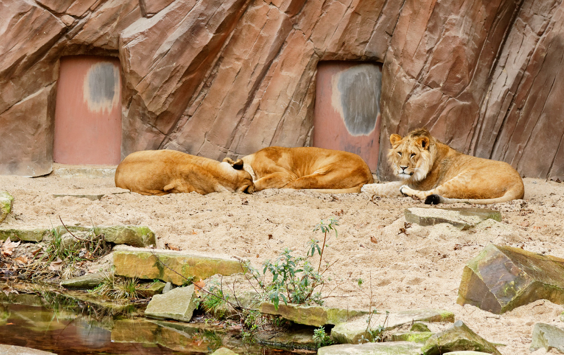 AntwerpPlease see my other Photographs at: http://www.jamespdeans.co.uk/