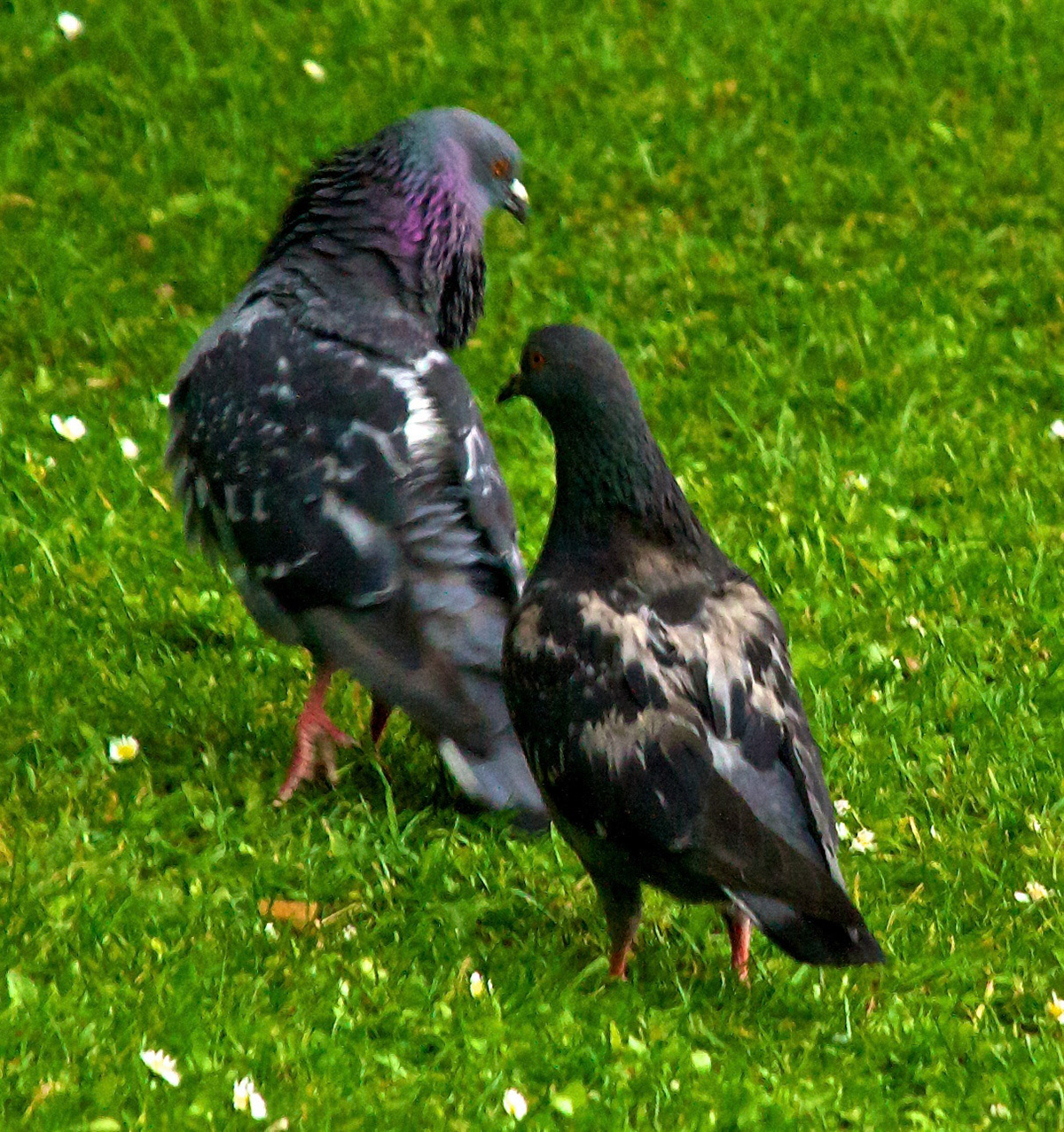 LondonPlease see my other Photographs at: http://www.jamespdeans.co.uk/