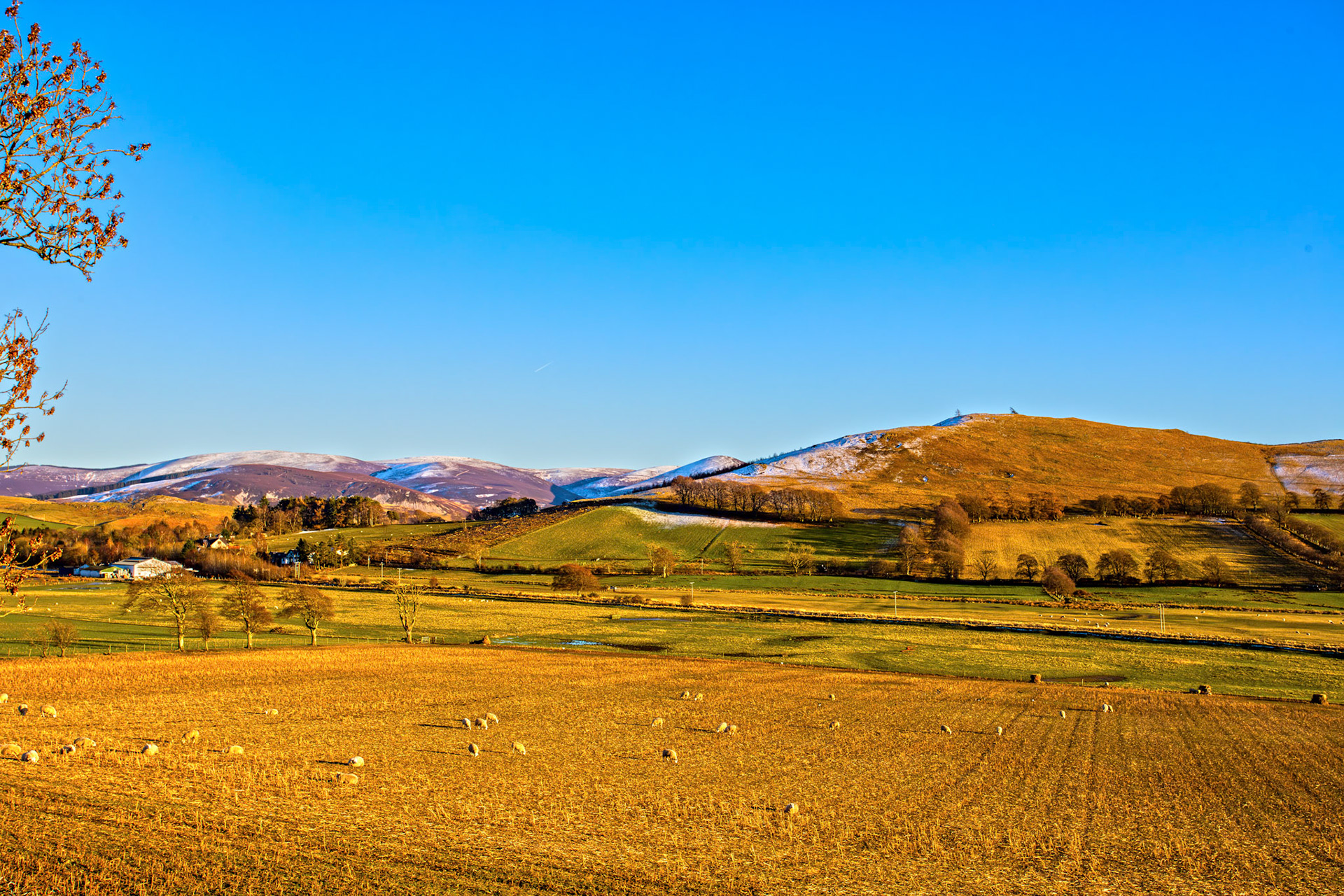 View from B7016 between Broughton and Biggar 07 March 2026