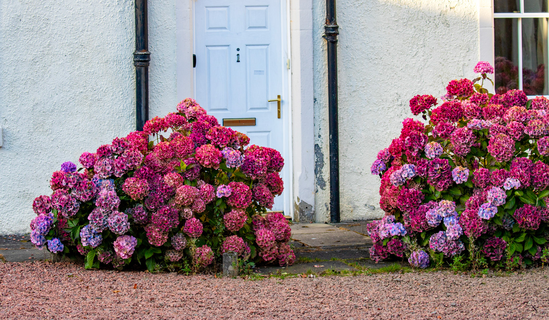 Polkemmet Country Park 10 October 2024
