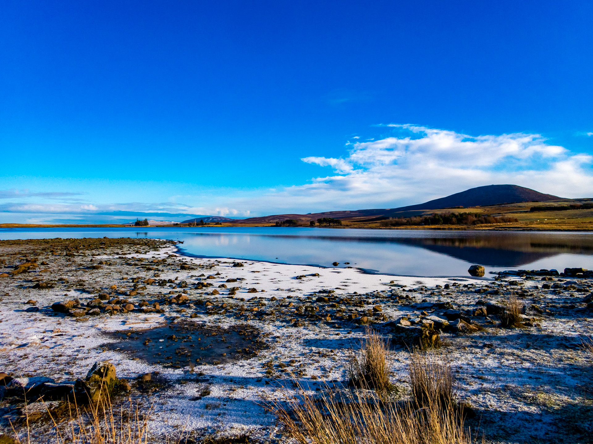 Swim at Harperrig 08 December 2022