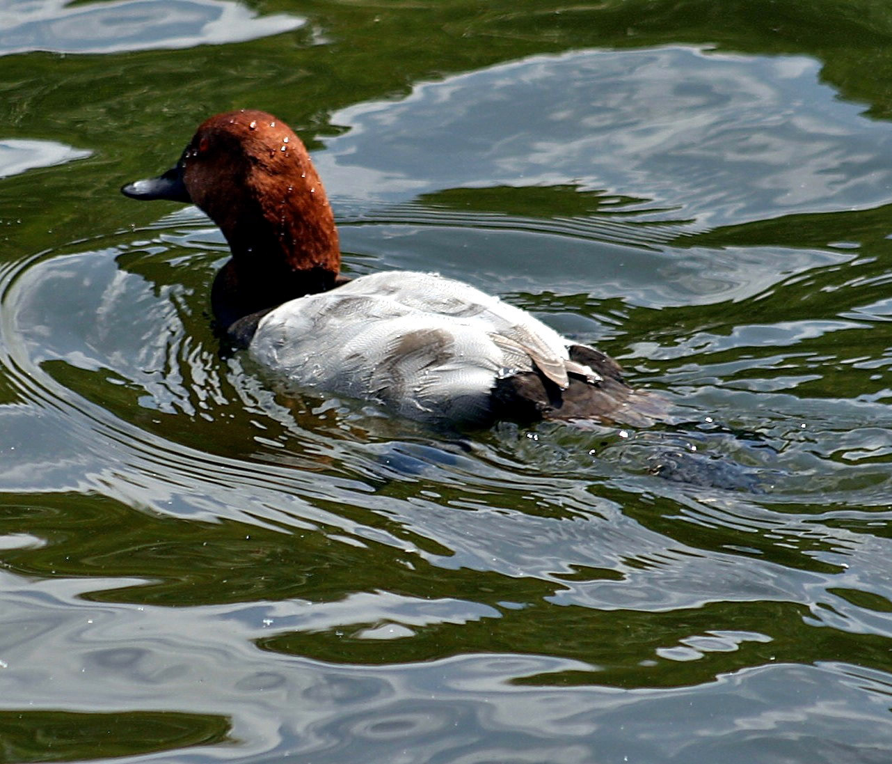 LondonPlease see my other Photographs at: http://www.jamespdeans.co.uk/