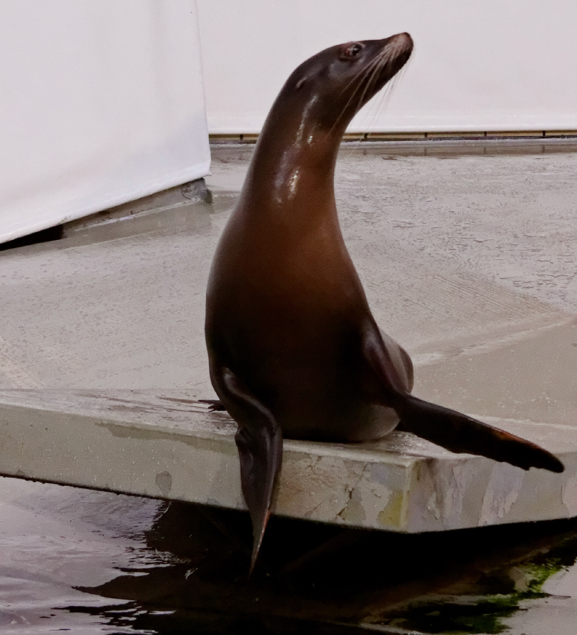 AntwerpPlease see my other Photographs at: http://www.jamespdeans.co.uk/