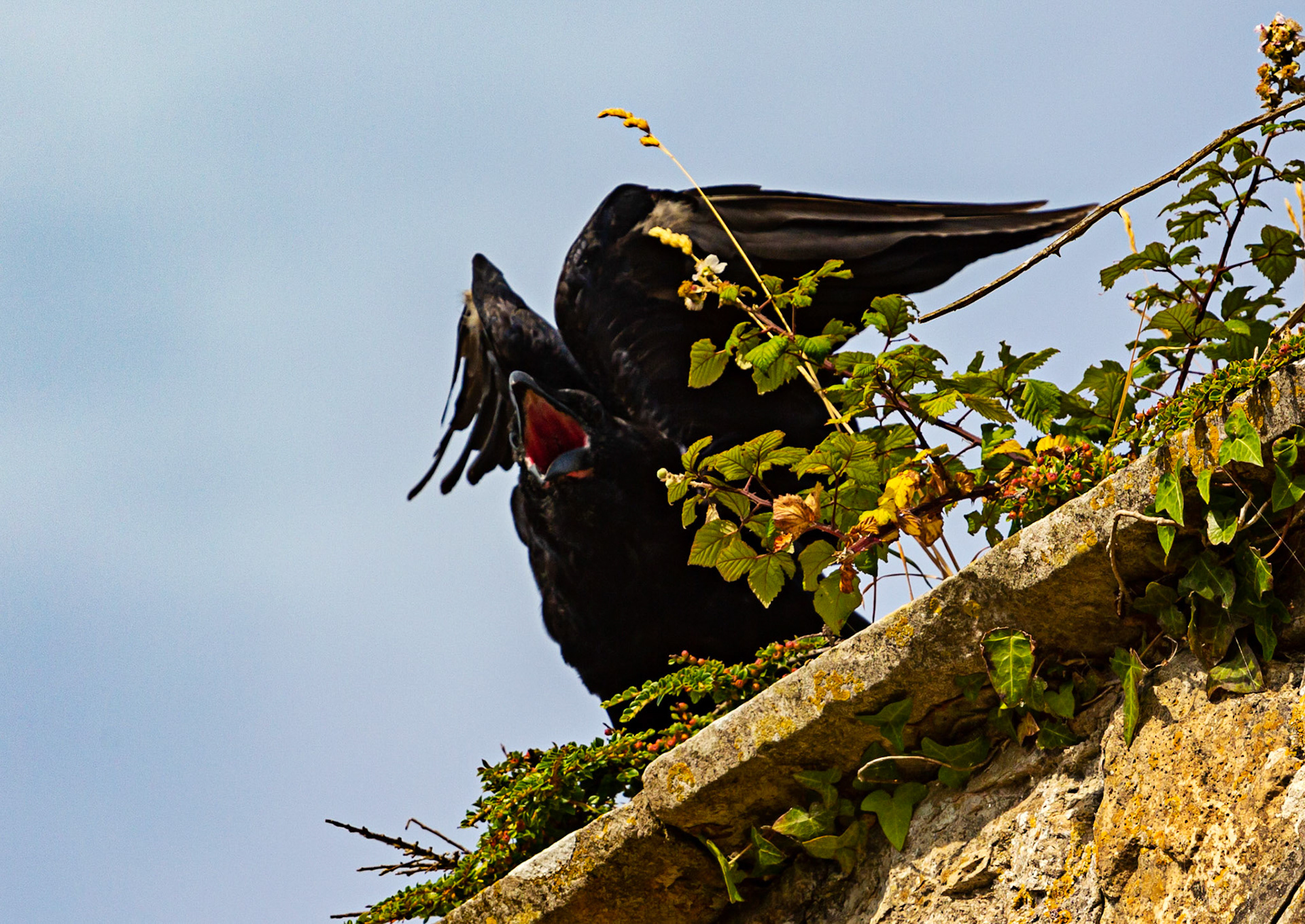 Old St Helen's Church Duver IOW 16 July 2022