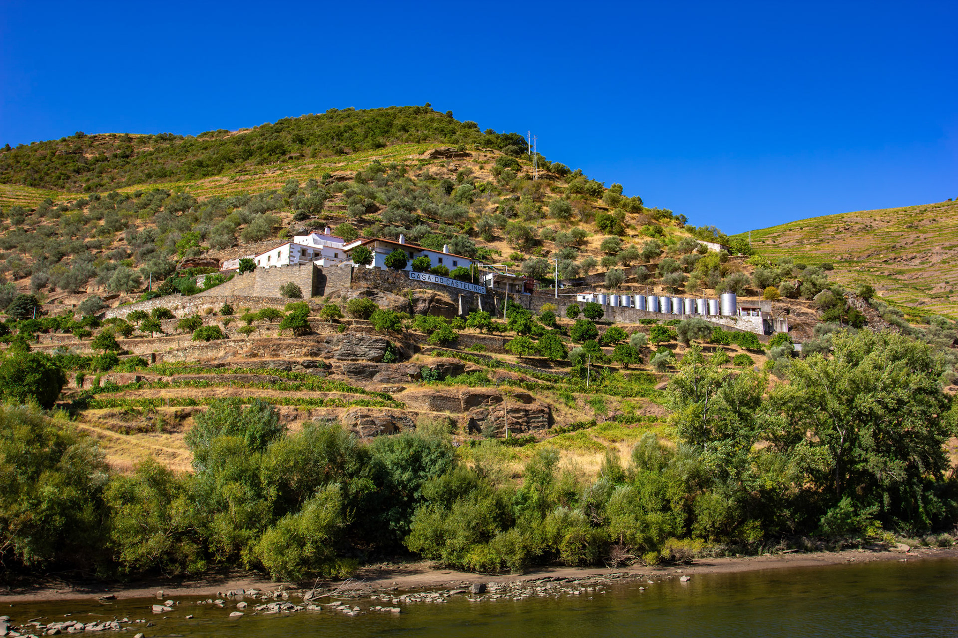 Douro cruise 22 August 2026