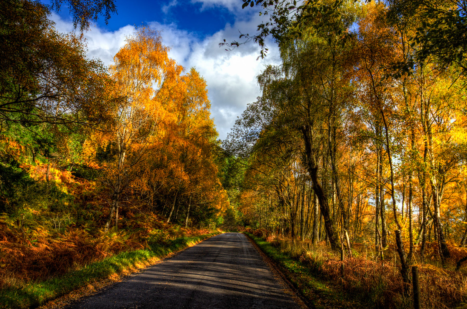 Loch Tummel. Autumnal Tour around Perthshire 19 October 2024