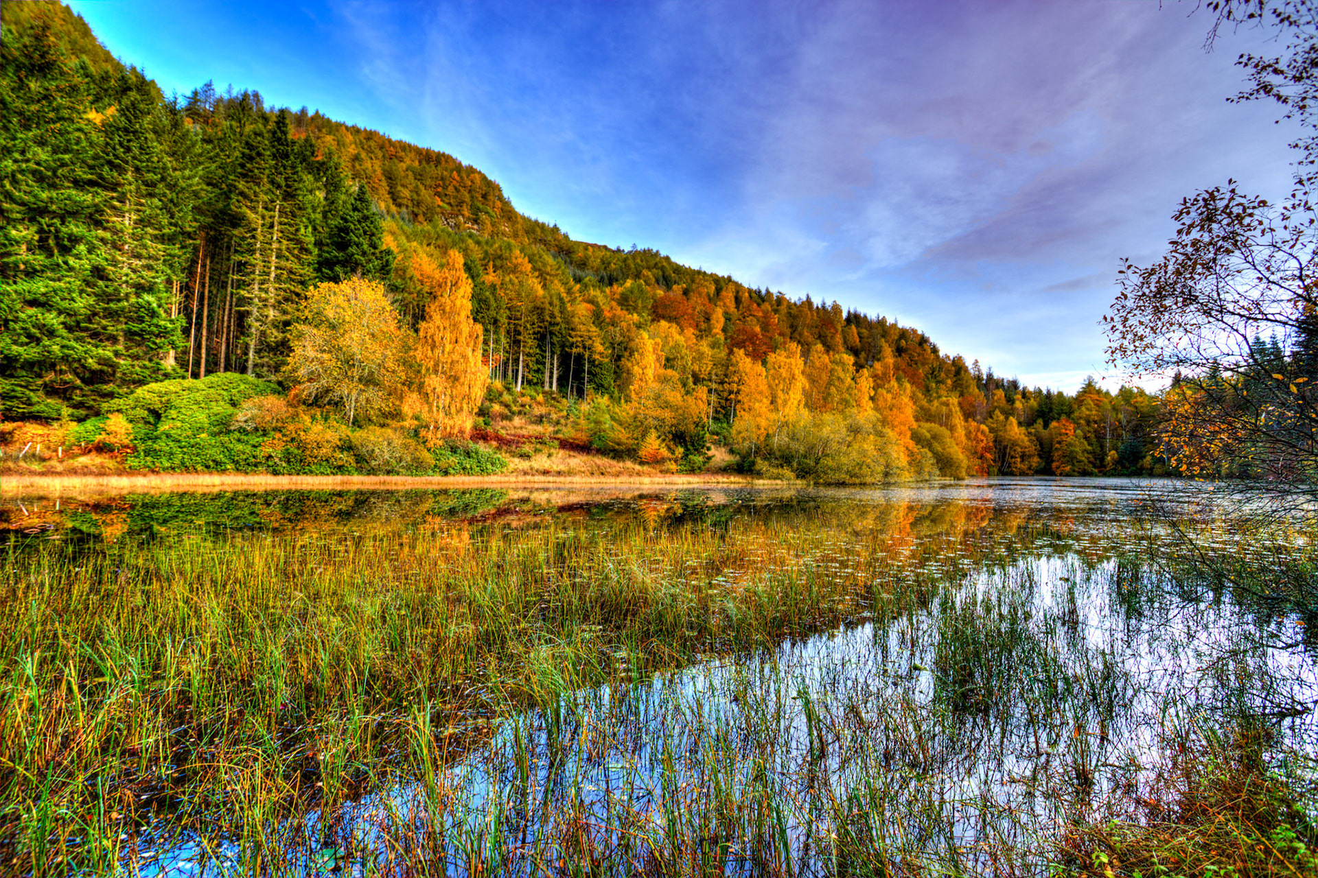 Polney Loch, Dunkeld. Autumnal Tour around Perthshire 19 October 2024
