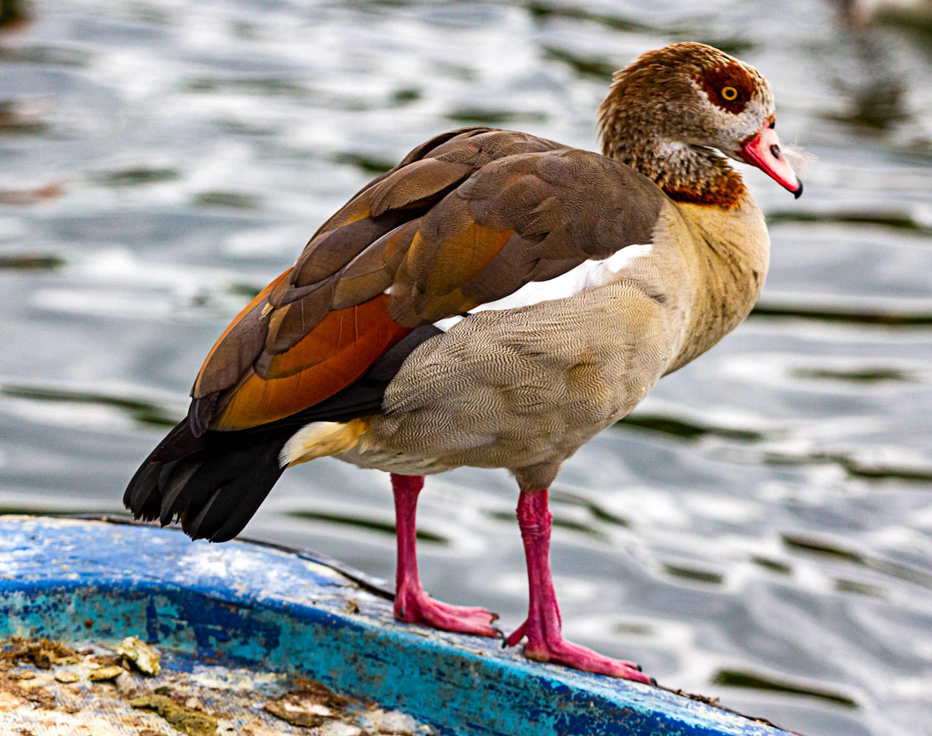 Reading 07 June 2024
