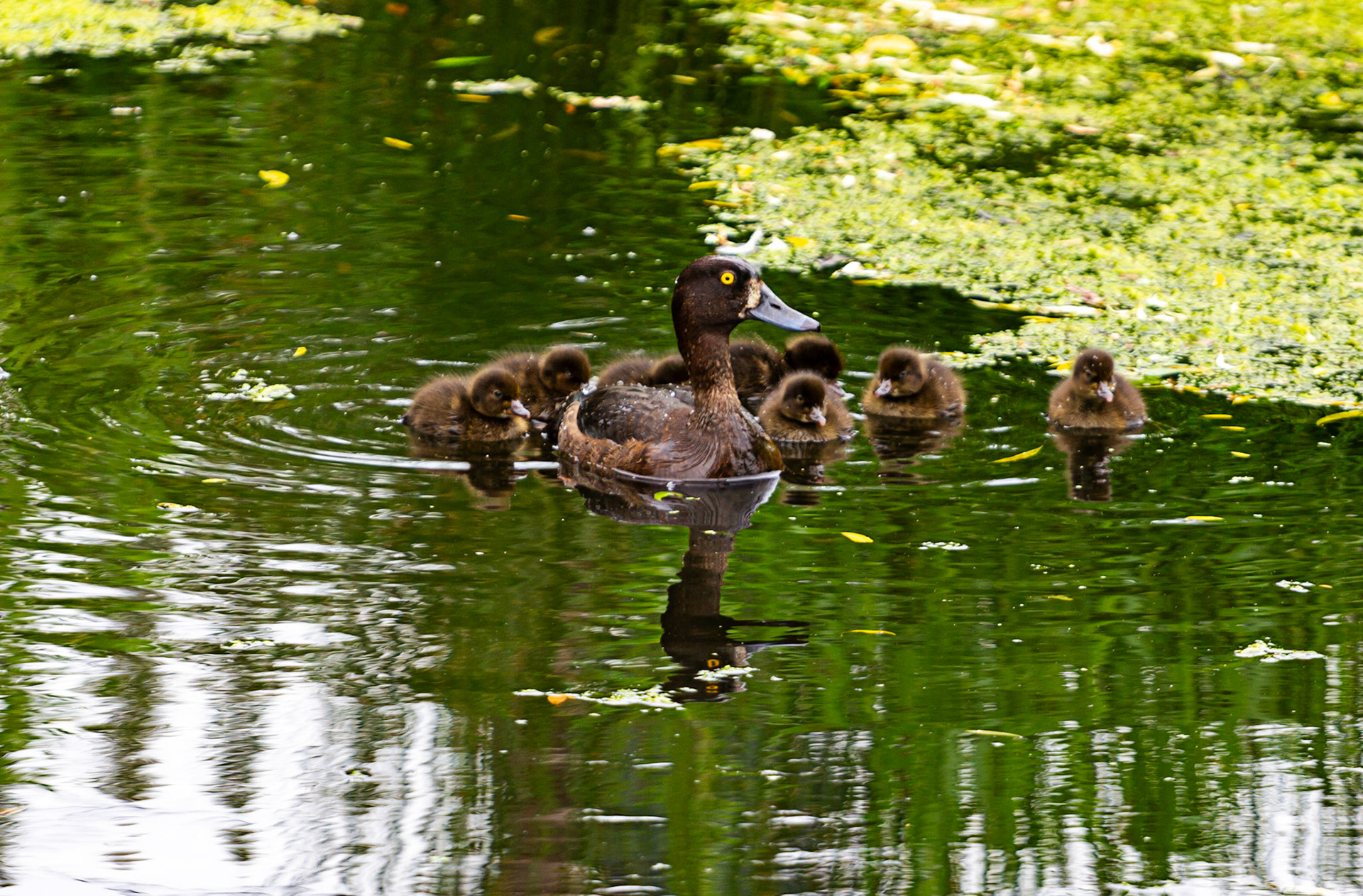 Little Moreton Hall  17 June 2023