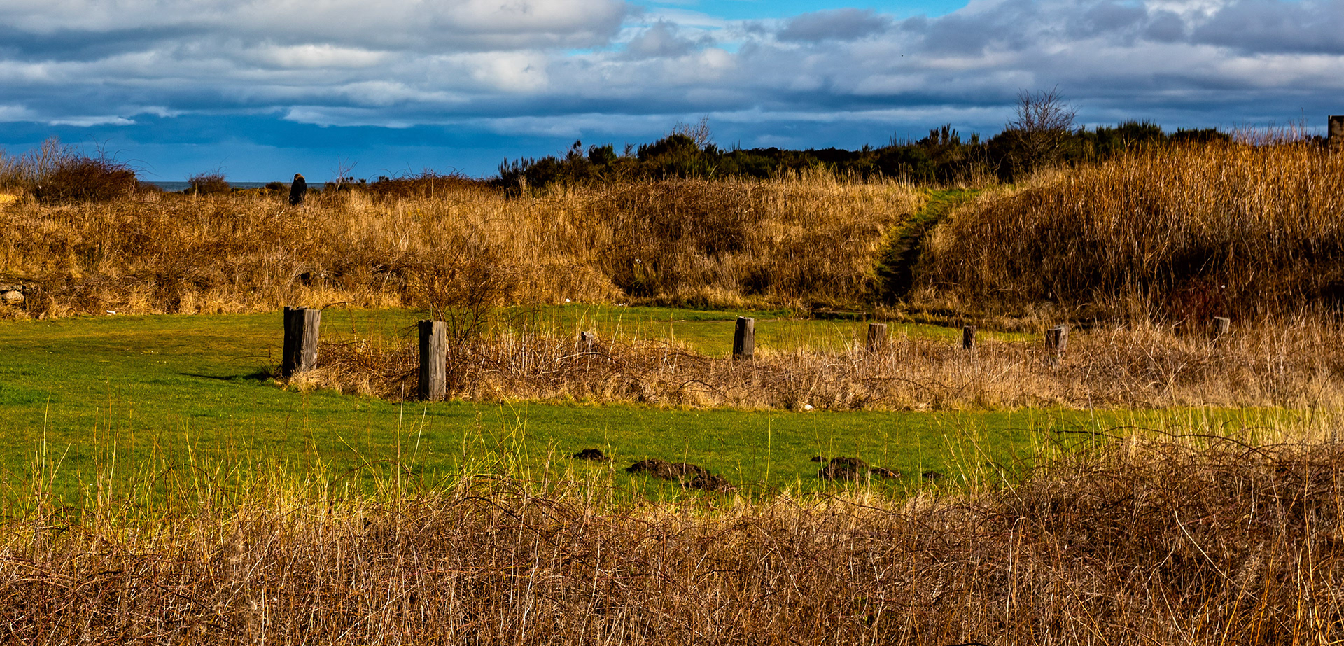 Morrison's Haven 12 March 2022