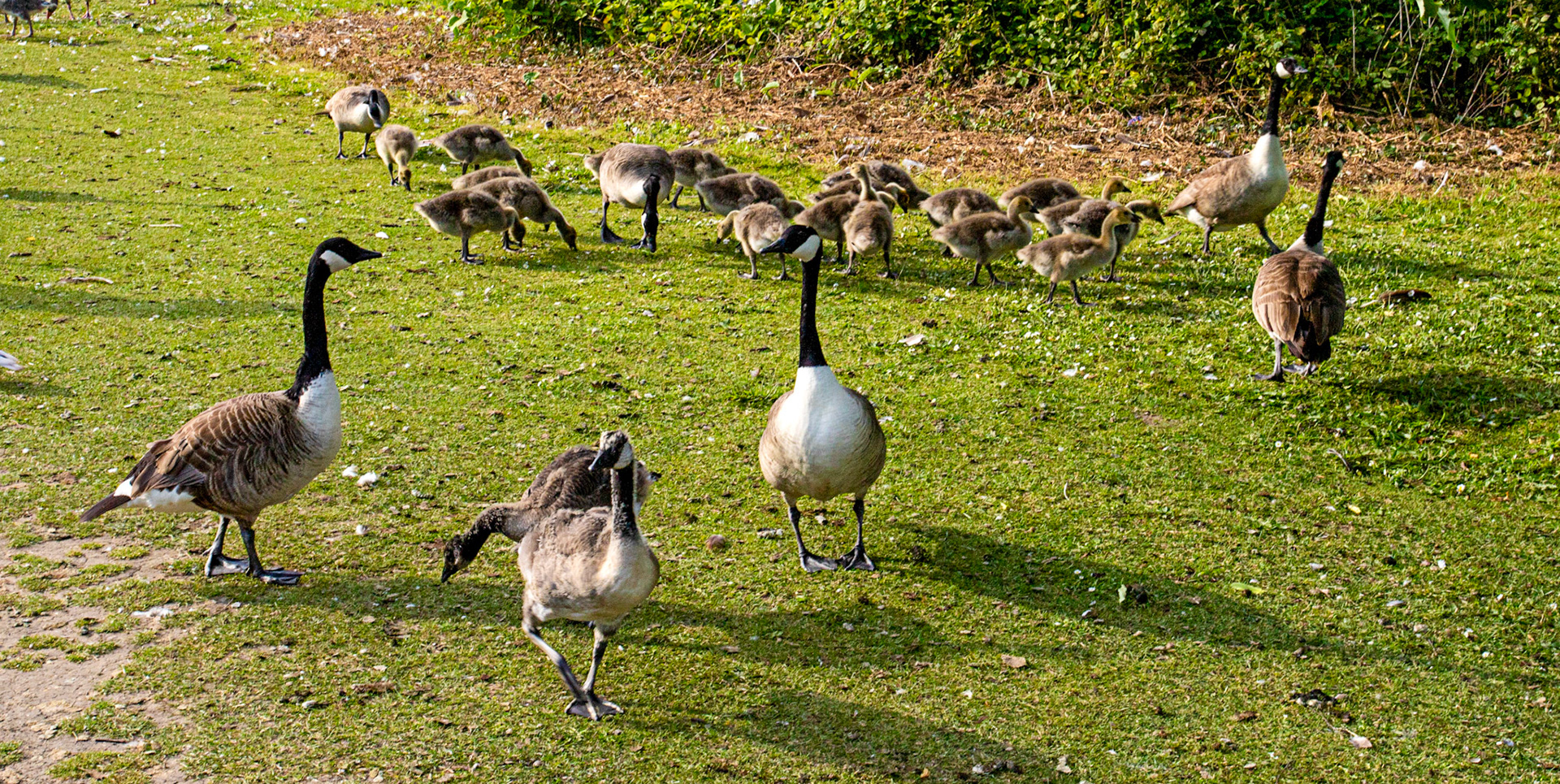 Reading 08 June 2024