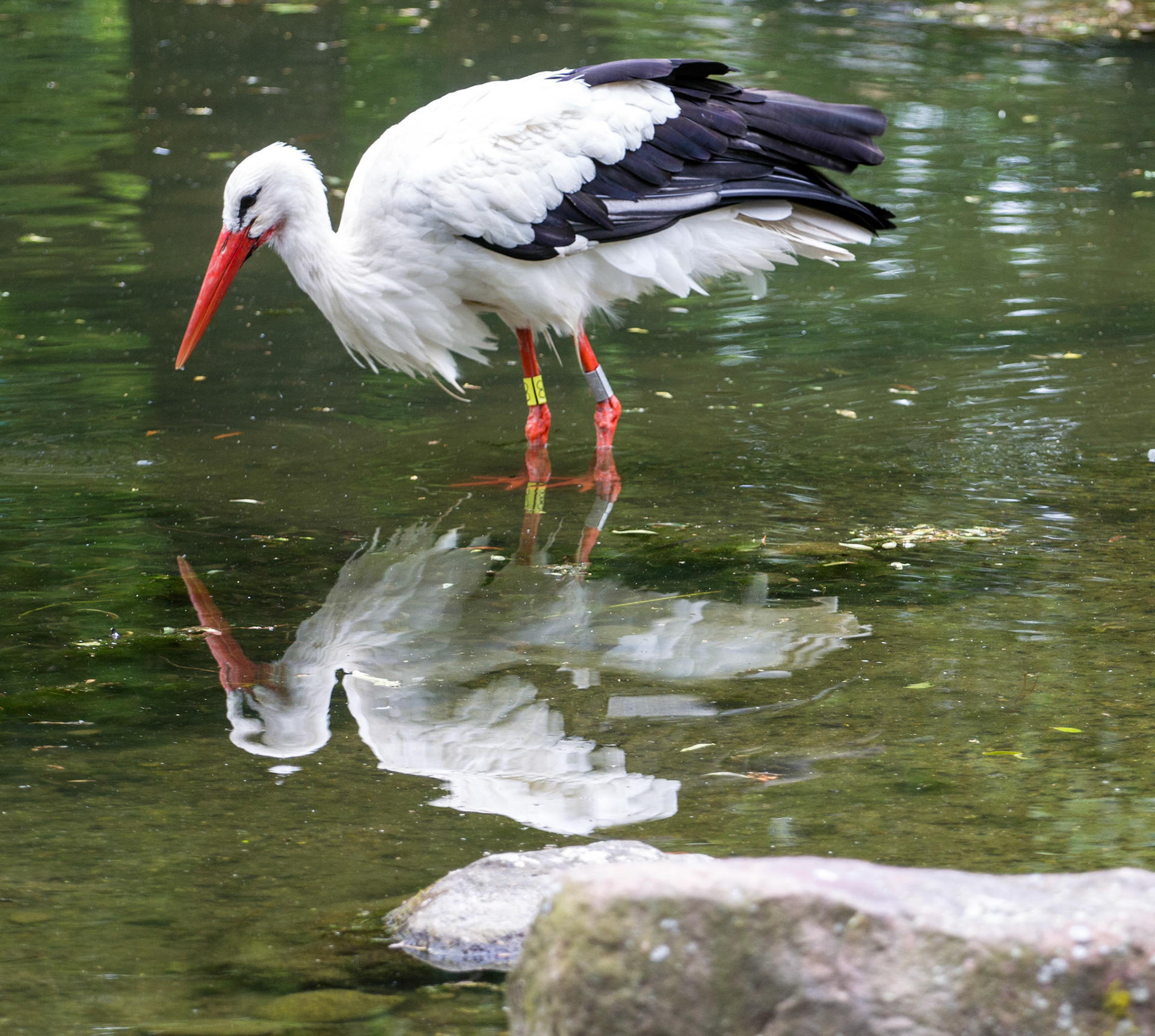 CernayPlease see my other Photographs at: http://www.jamespdeans.co.uk/