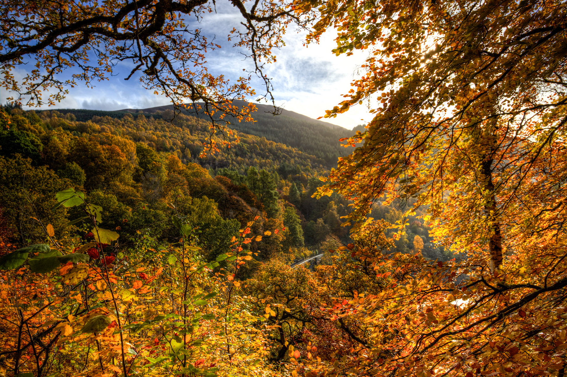 Killiecrankie. Autumnal Tour around Perthshire 19 October 2024